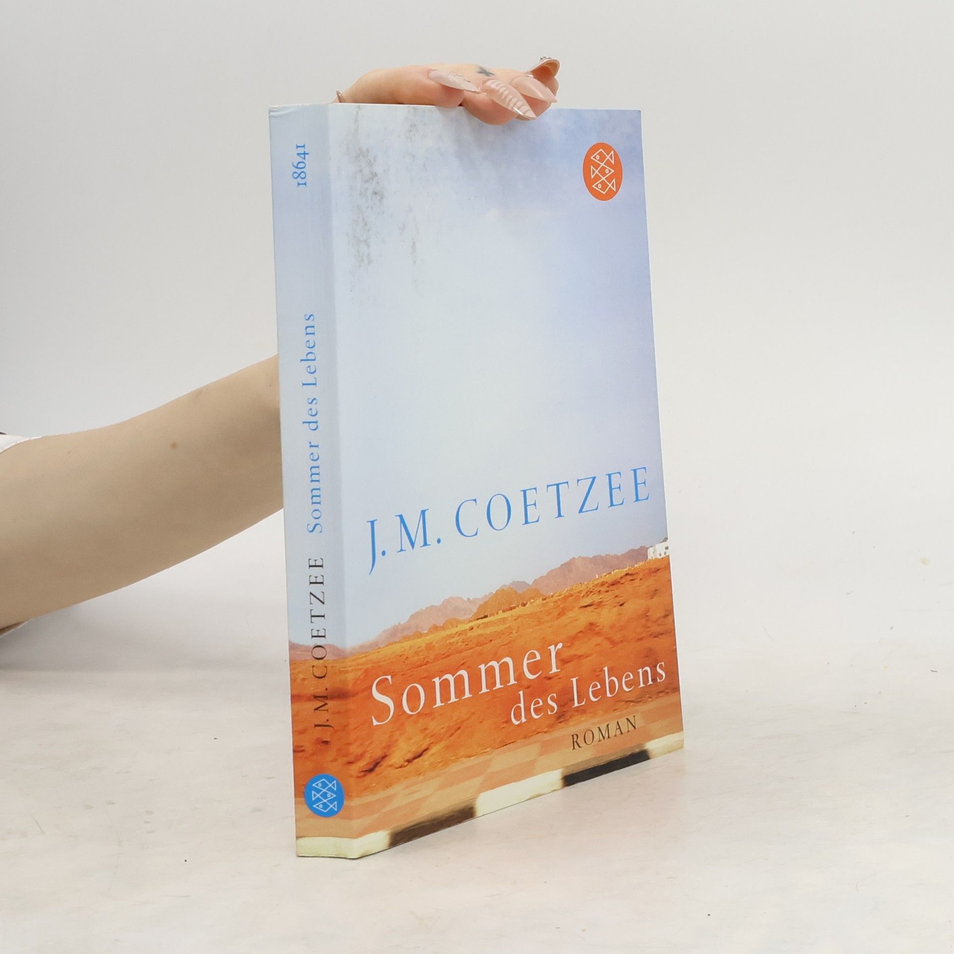 John Maxwell Coetzee Sommer des Lebens