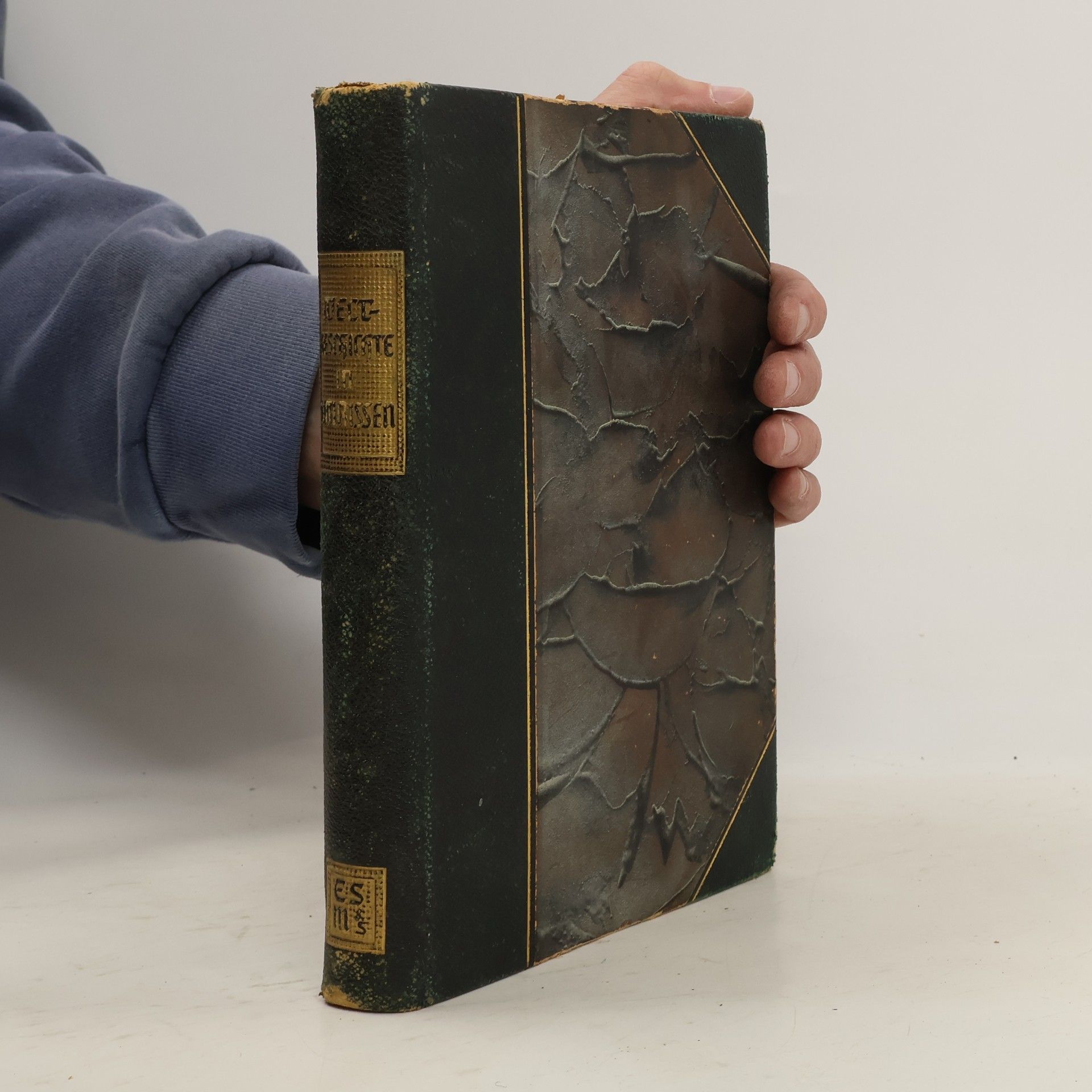 Maximilian Yorck von Wartenburg Weltgeschichte in Umrissen