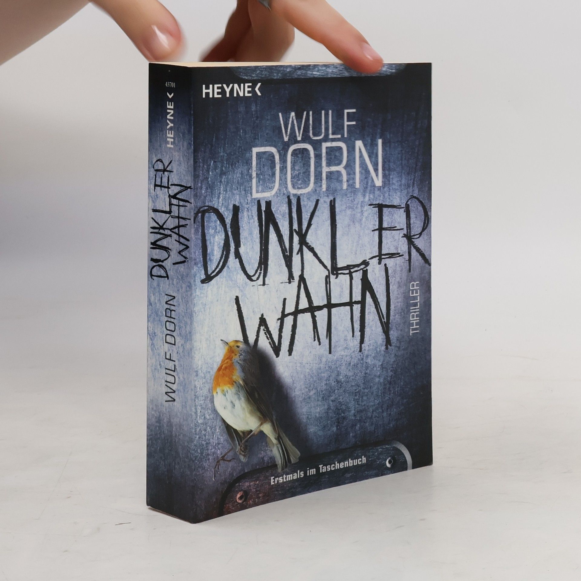 Wulf Dorn Dunkler Wahn