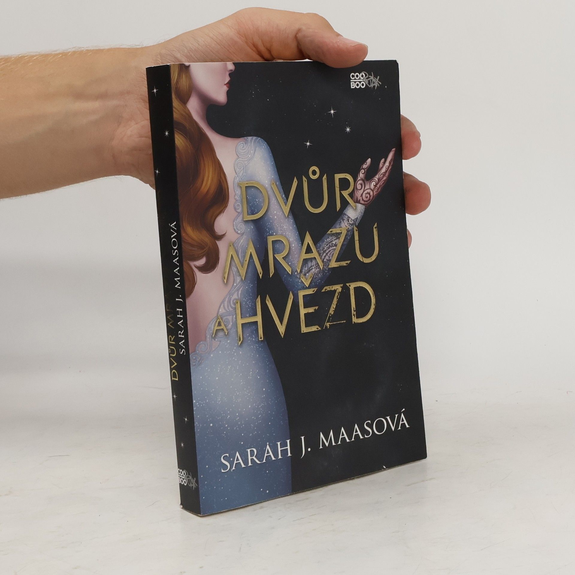 Sarah J. Maas Dvůr mrazu a hvězd