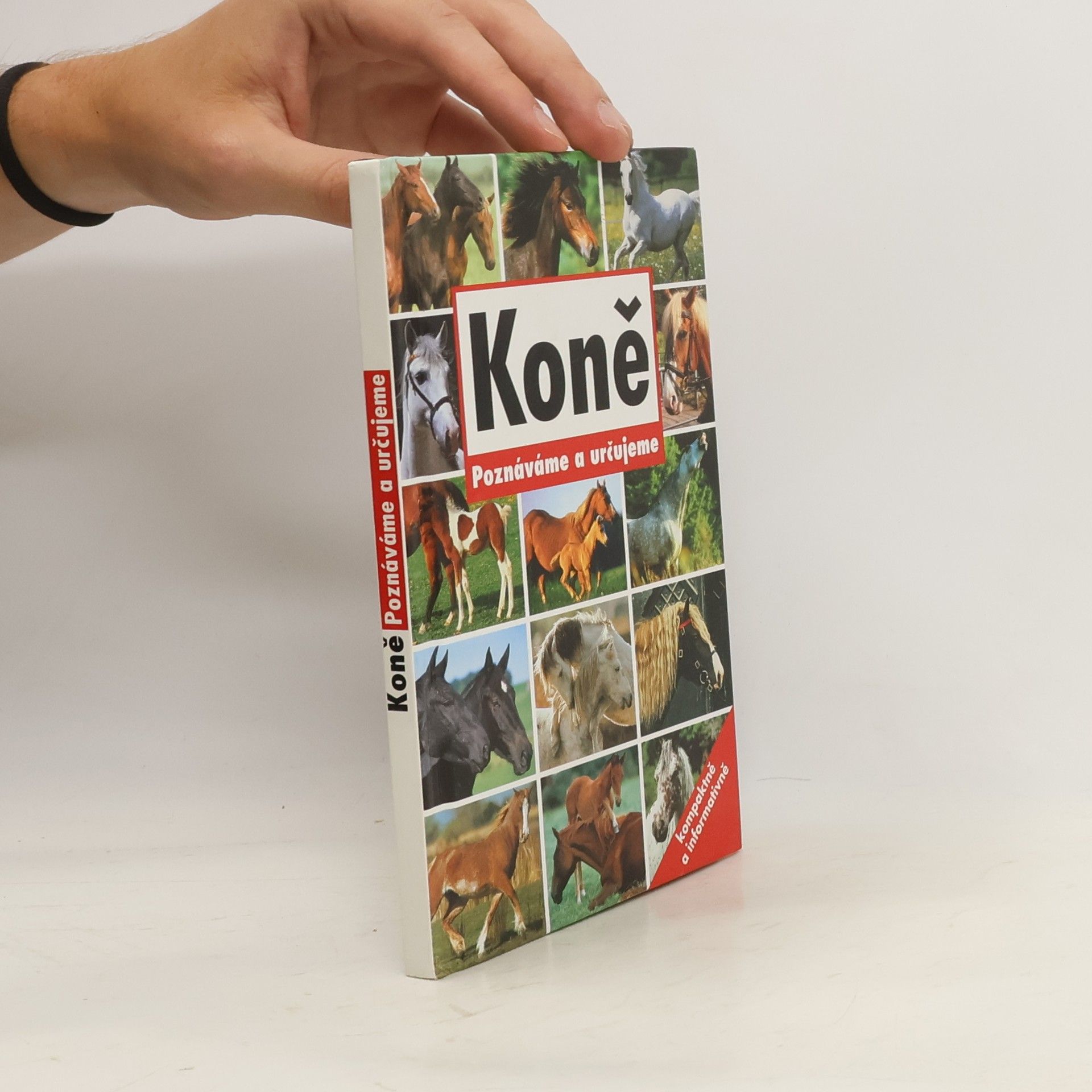 AA.VV. Koně. Poznáváme a určujeme