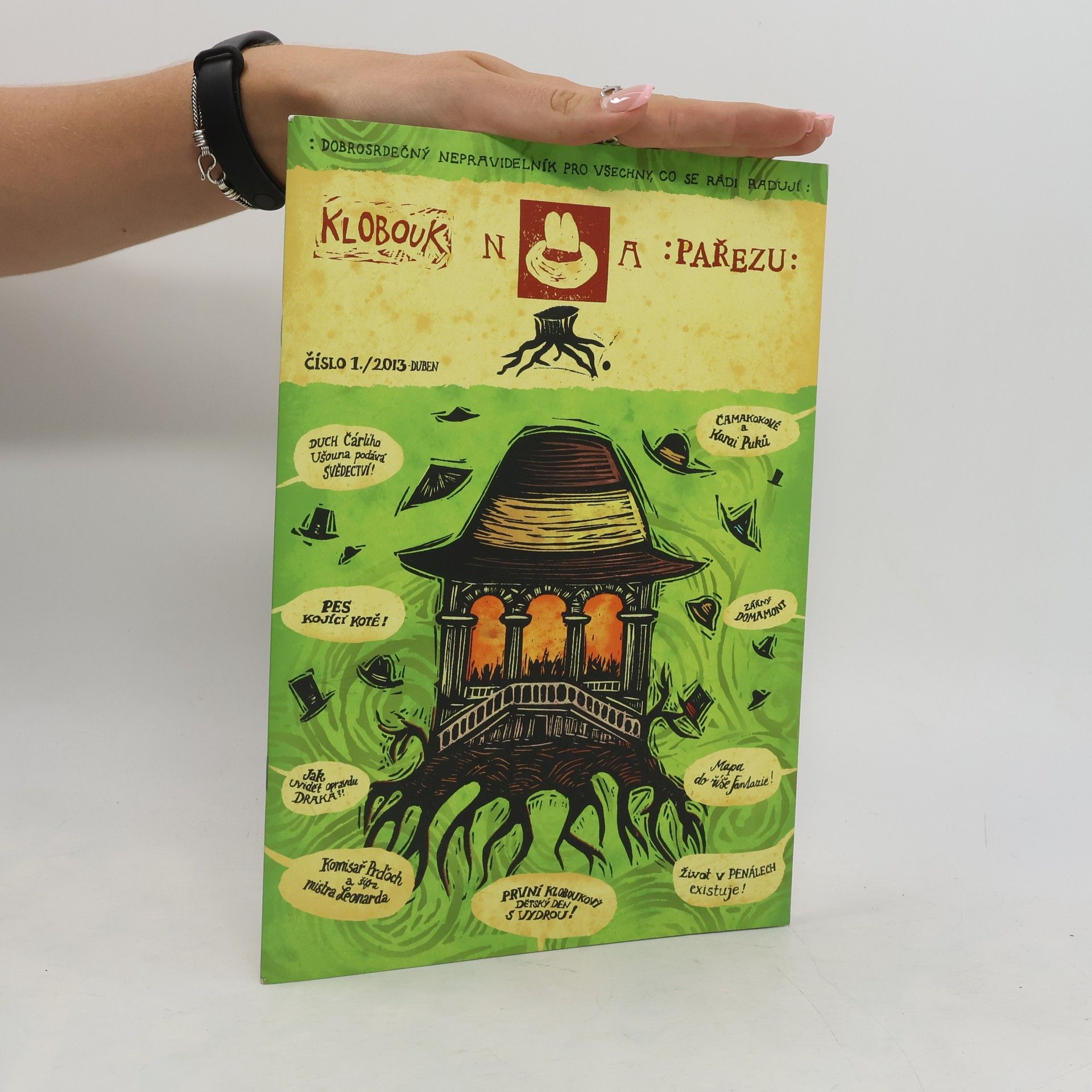 Autorenkollektiv Klobouk na pařezu 1/2013
