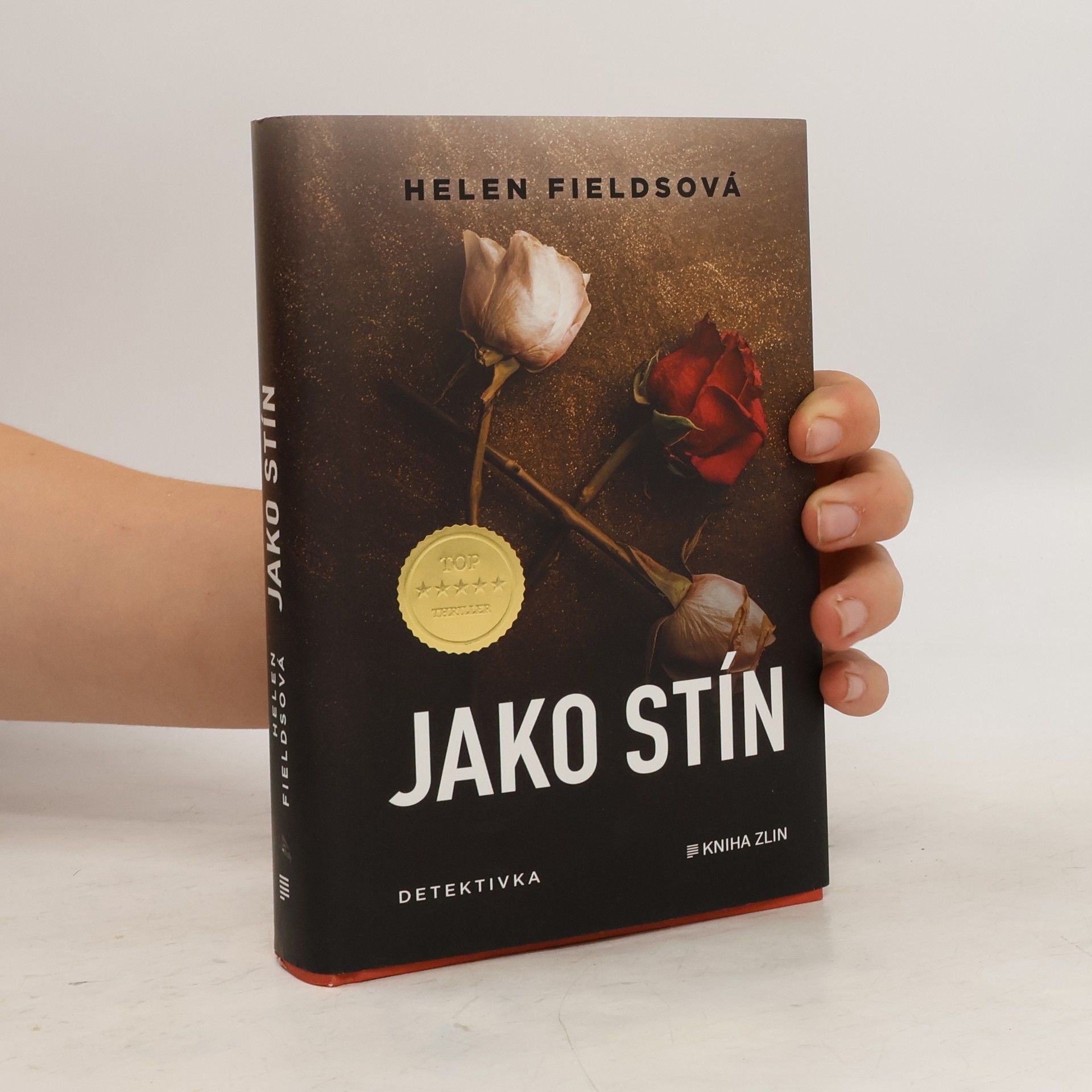 Helen Fields Jako stín