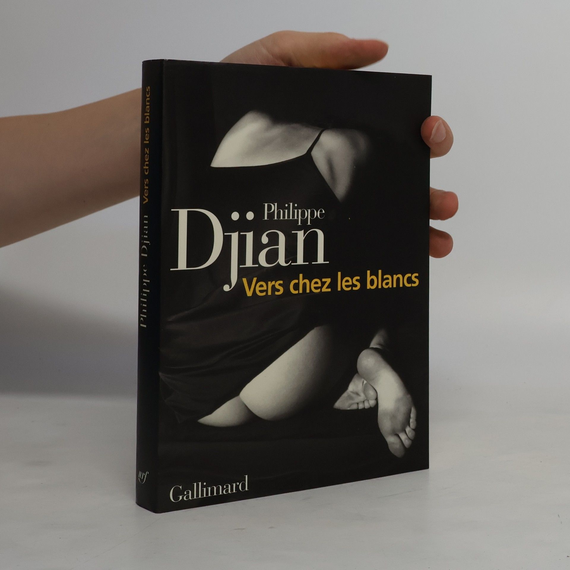 Phillippe Djian Vers chez les blancs