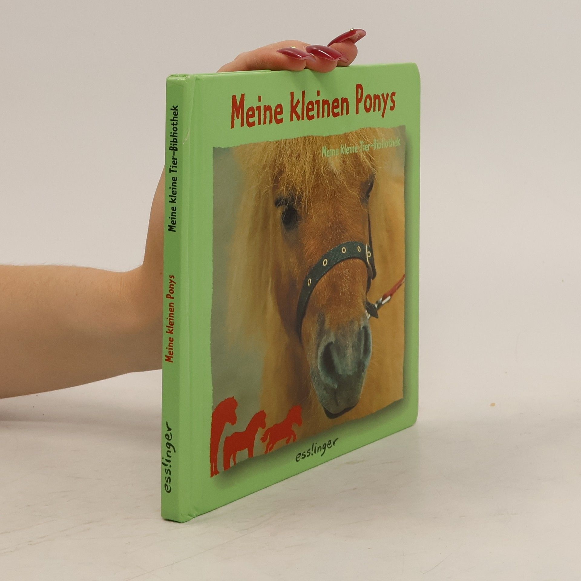 Natacha Fradin Meine kleinen Ponys