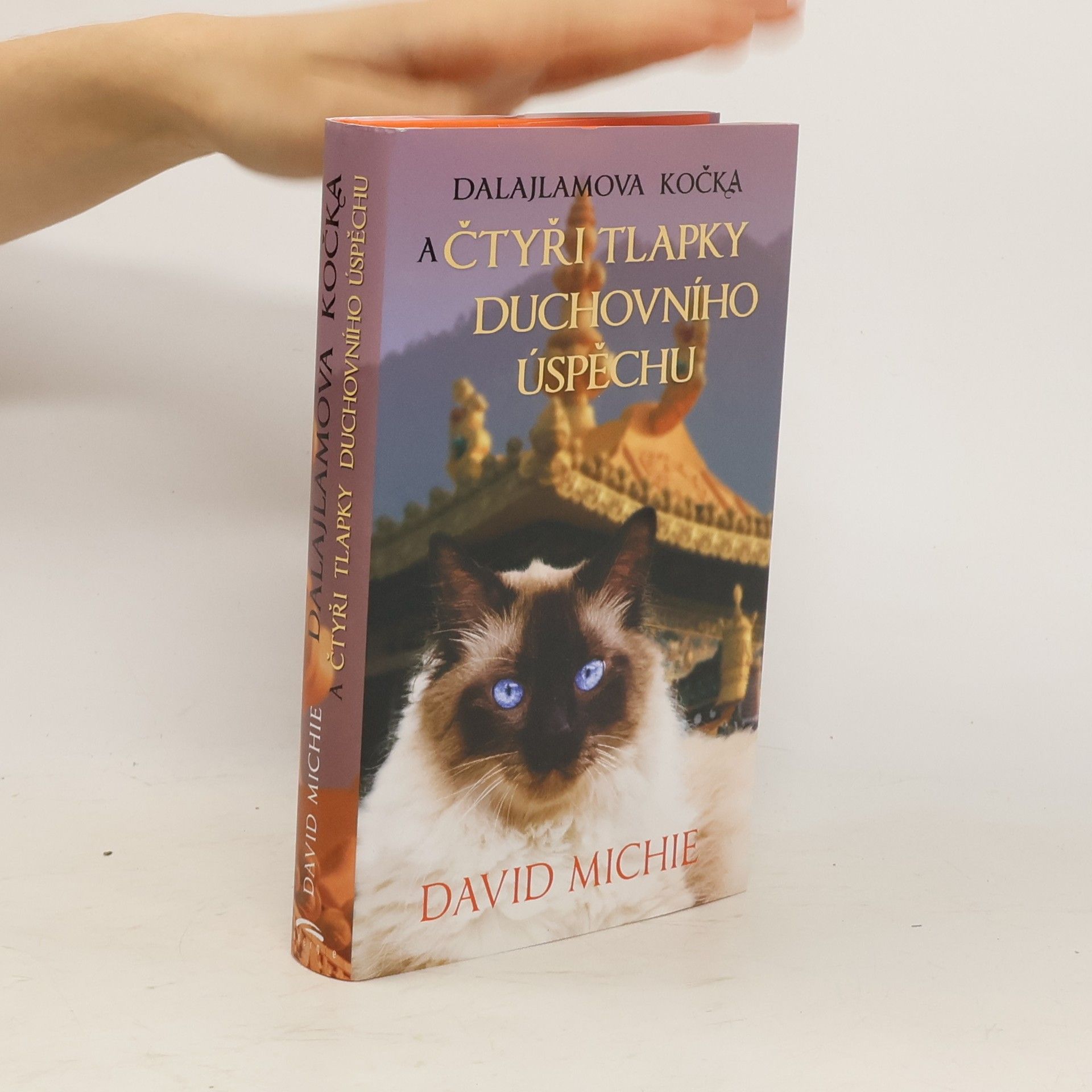 David Michie Dalajlamova kočka a čtyři tlapky duchovního úspěchu
