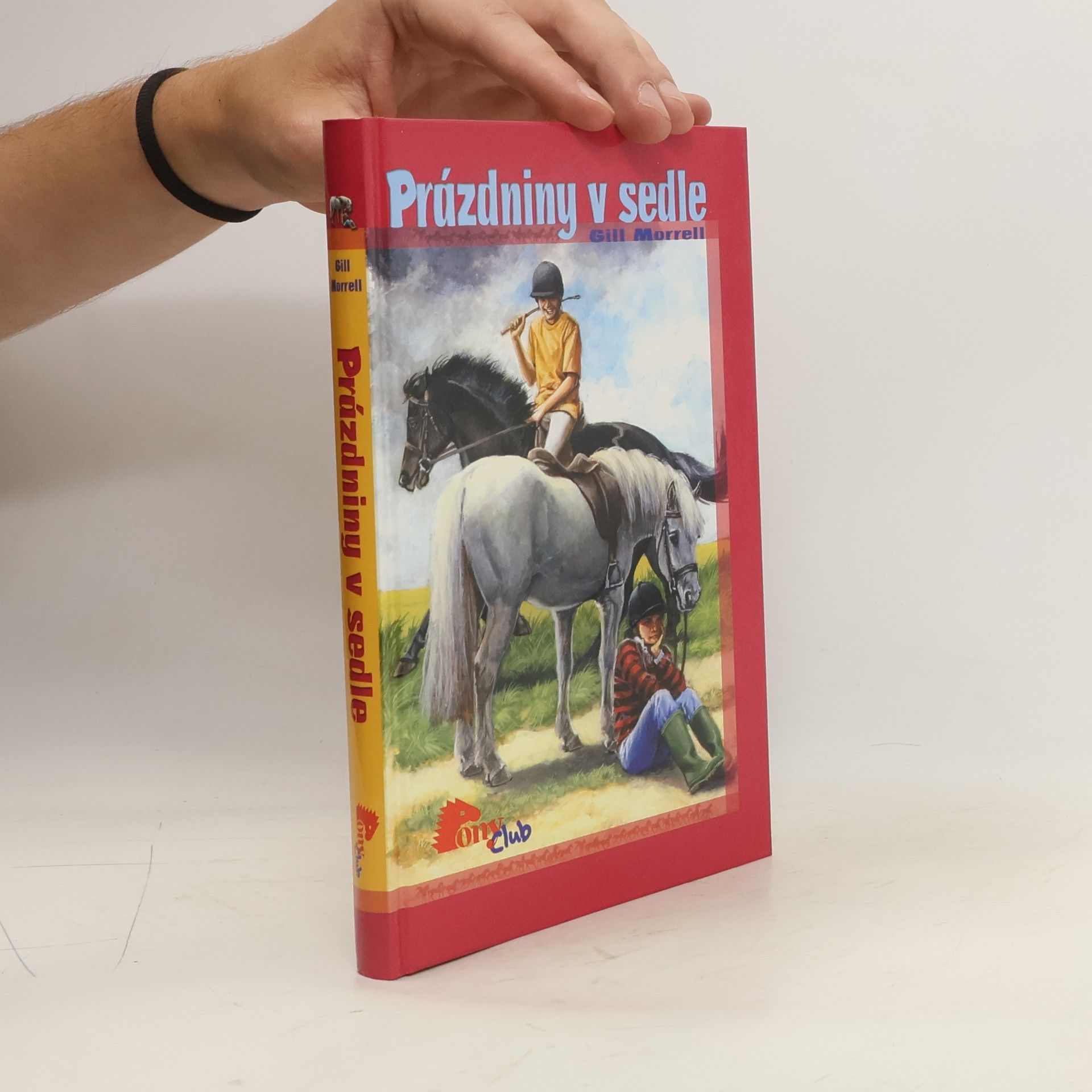 Gill Morrell Prázdniny v sedle