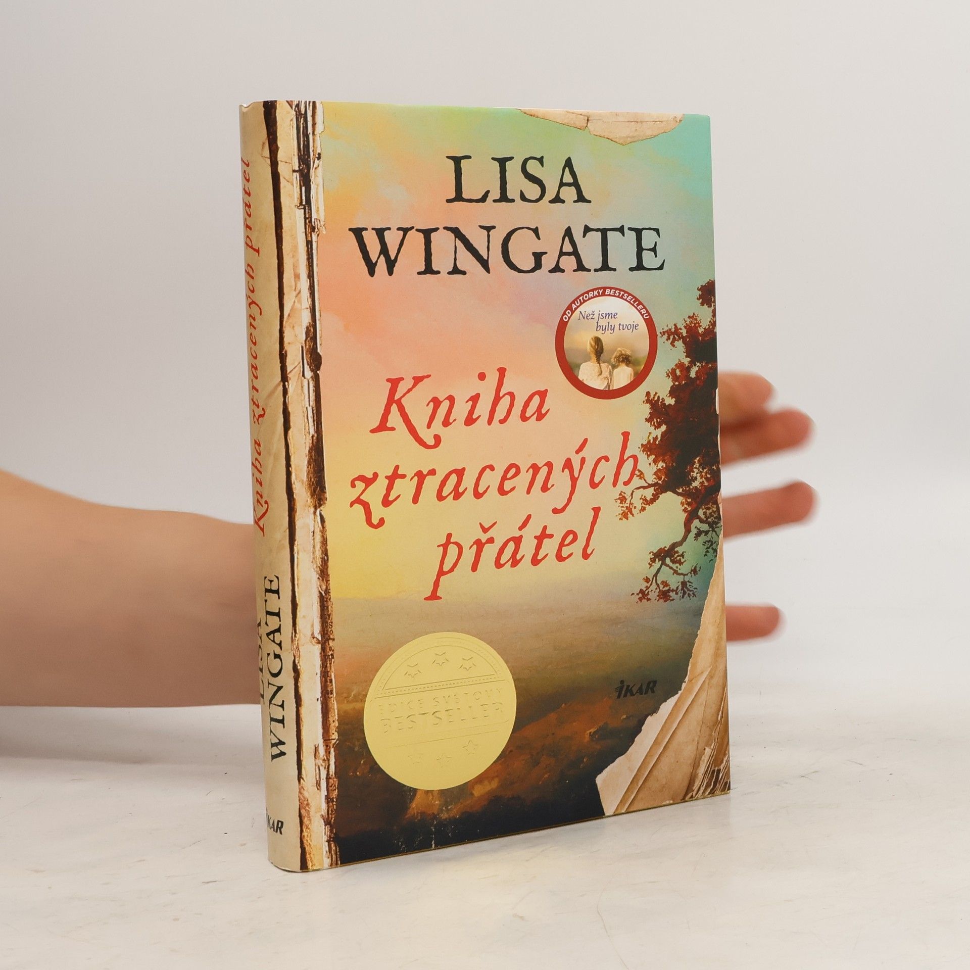 Lisa Wingate Kniha ztracených přátel