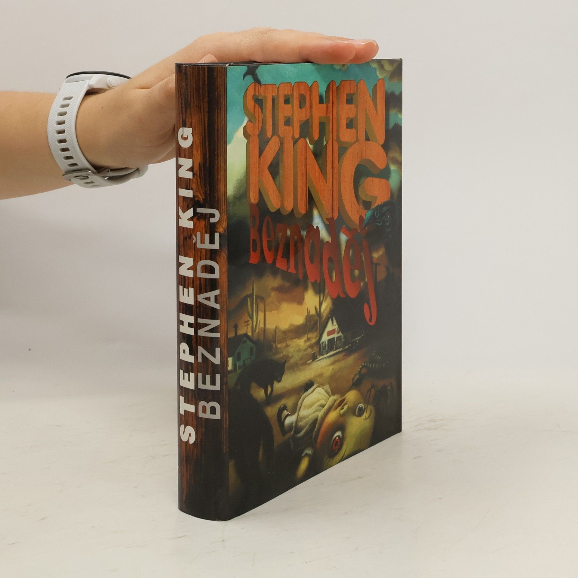 Stephen King Beznaděj