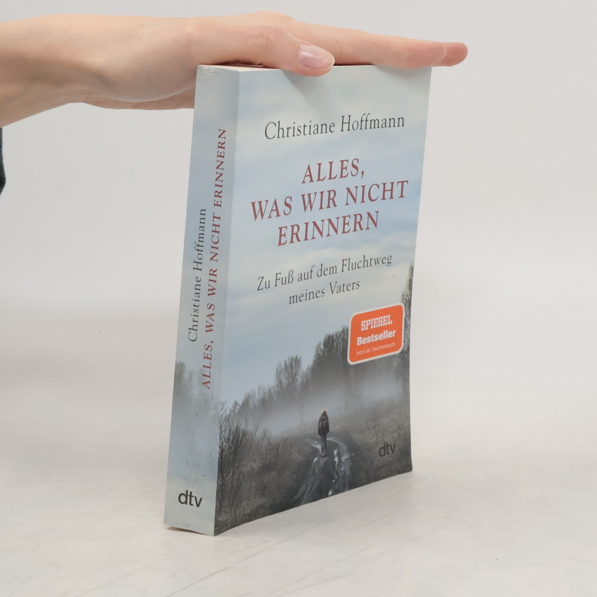 Christiane Hoffmann Alles, was wir nicht erinnern