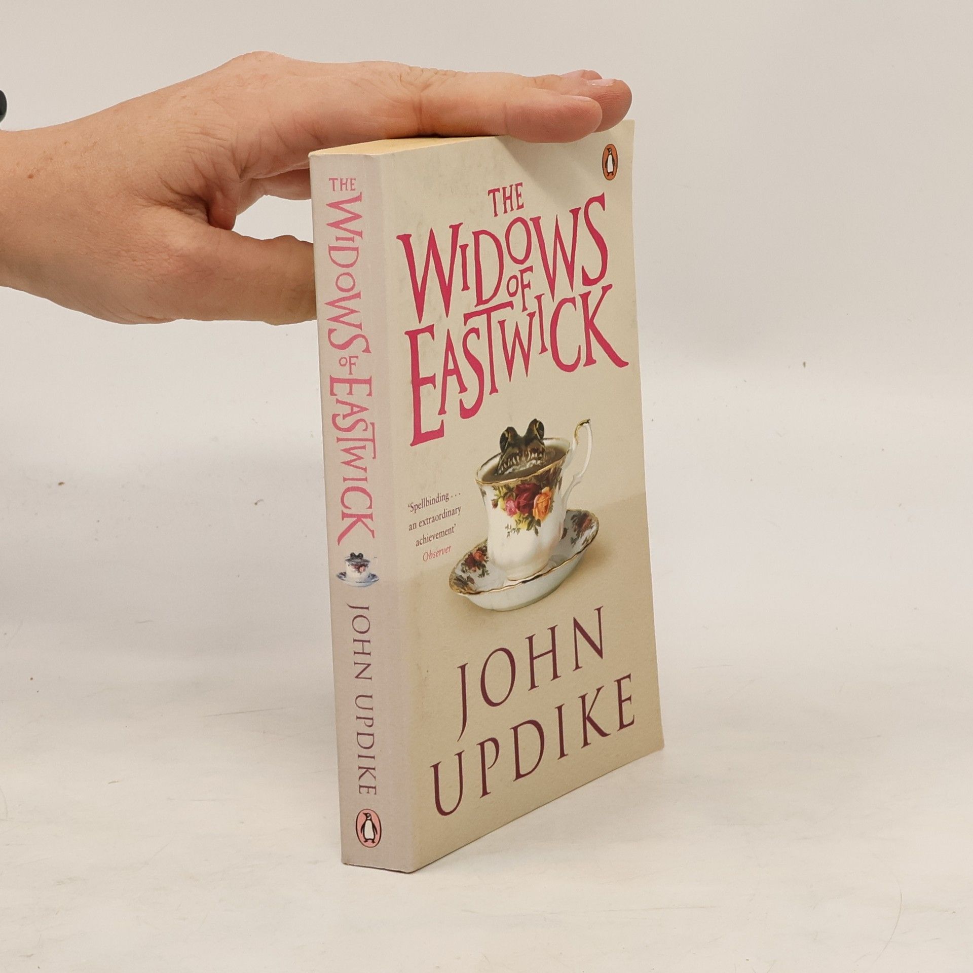 John Updike The Widows of Eastwick