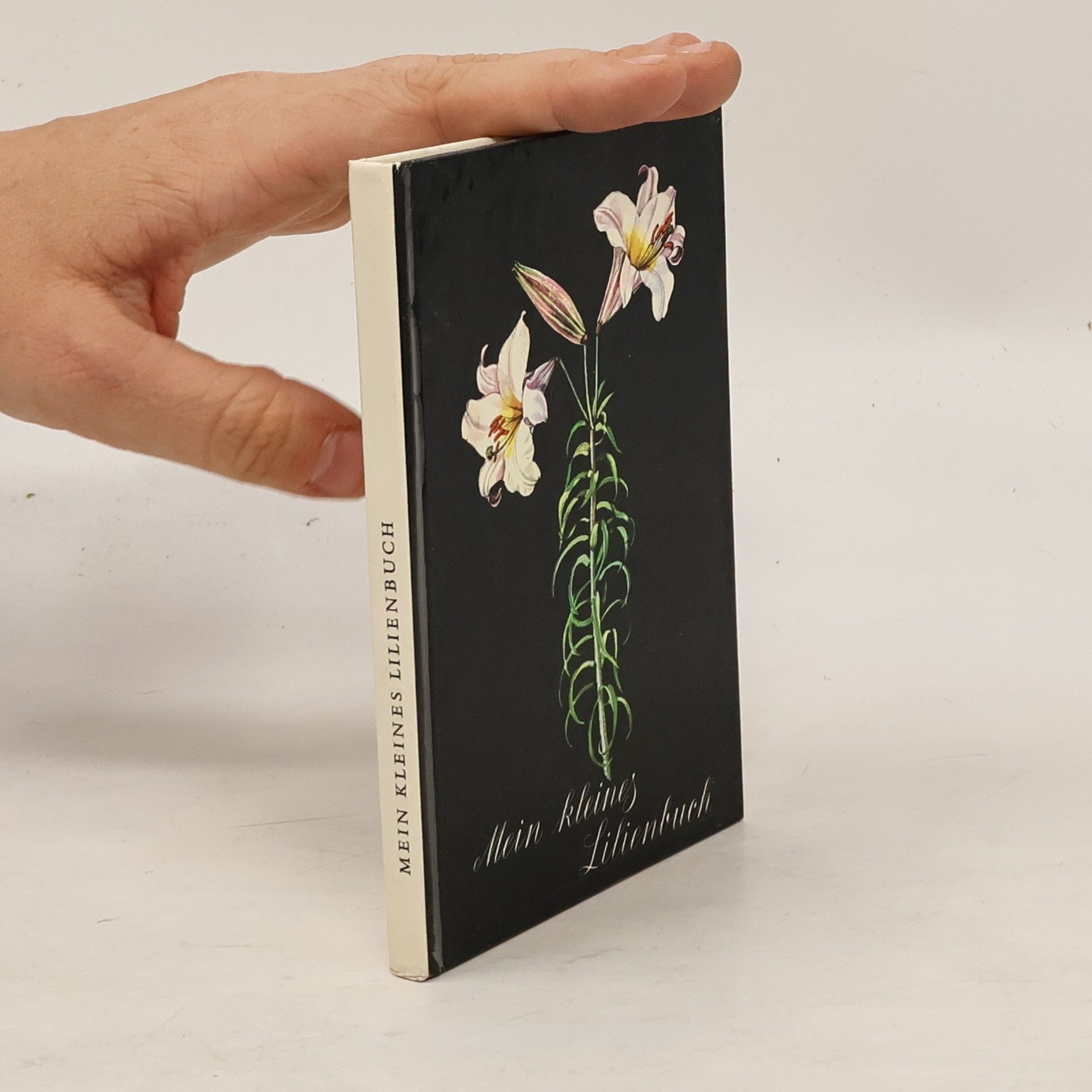 Elfrune Wendelberger Mein kleines Lilienbuch
