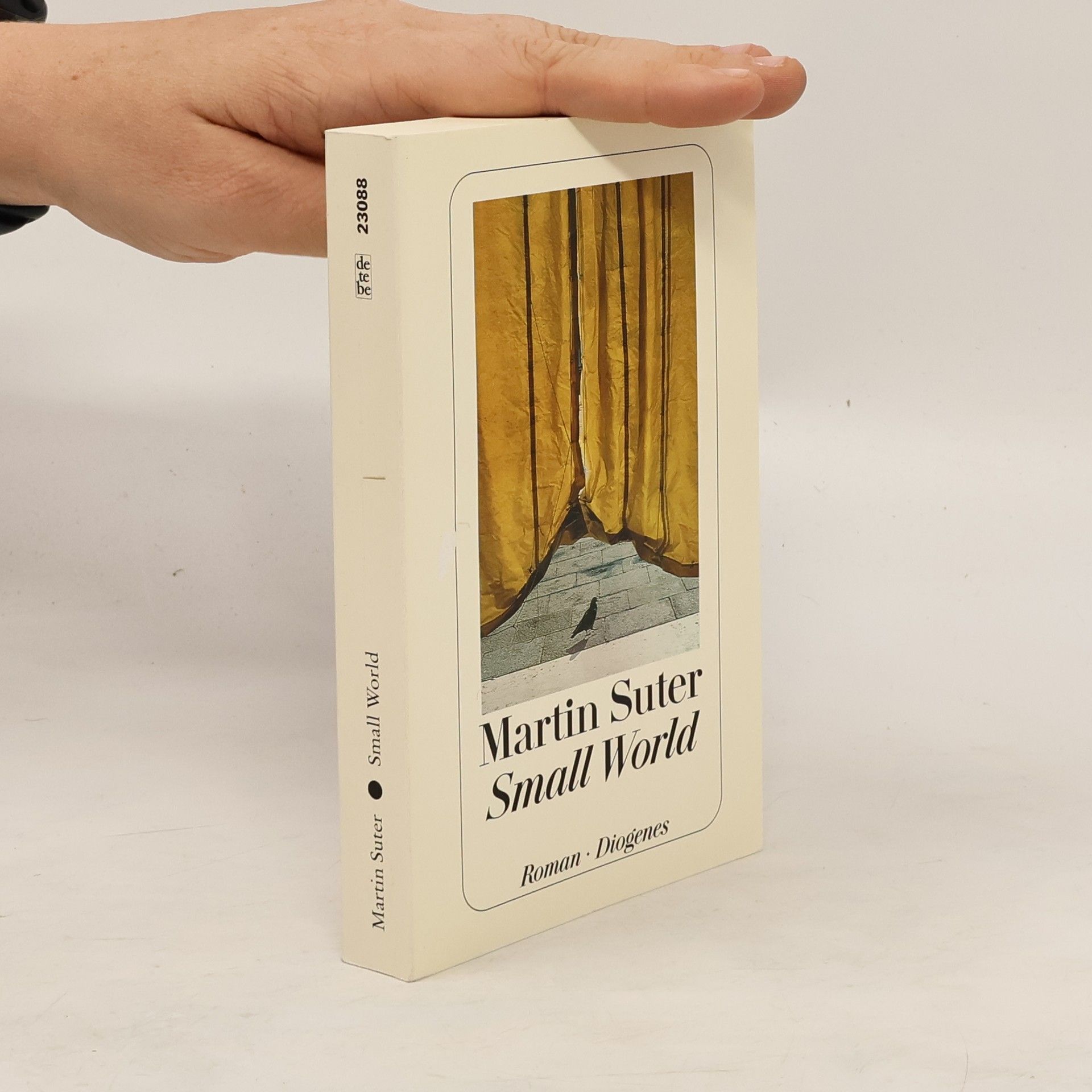 Martin Suter Small World