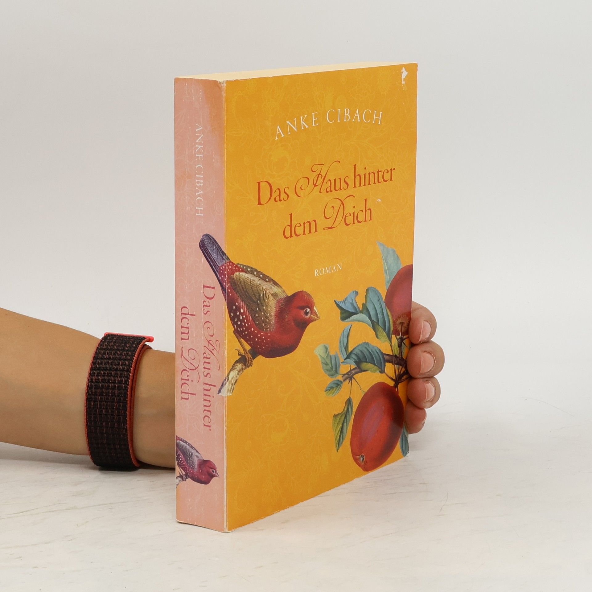 Anke Cibach Das Haus hinter dem Deich