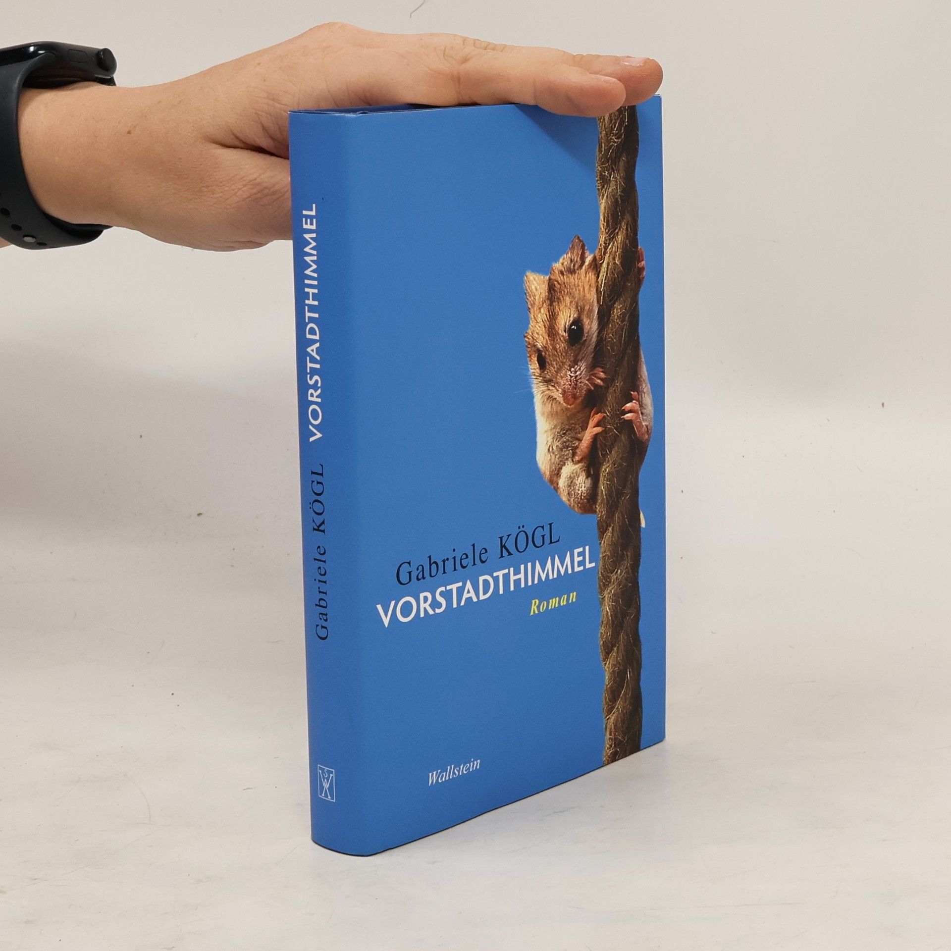 Gabriele Kögl Vorstadthimmel