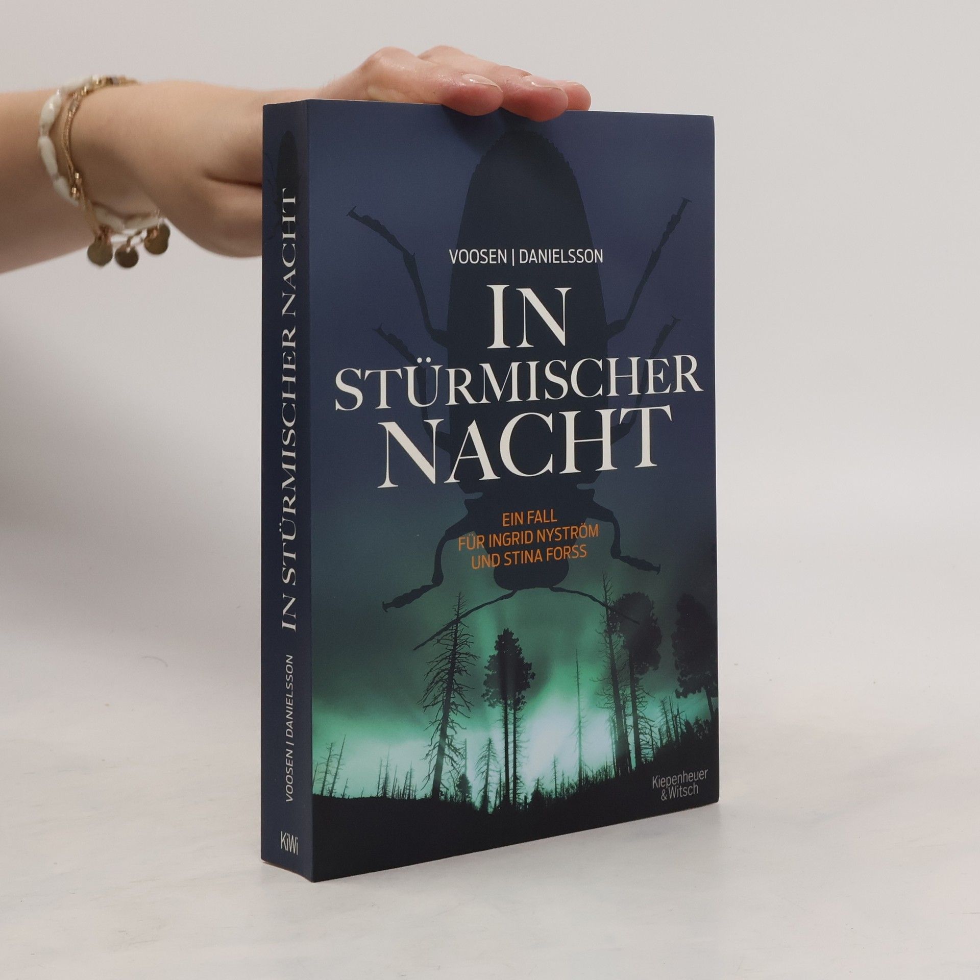 Roman Voosen In stürmischer Nacht