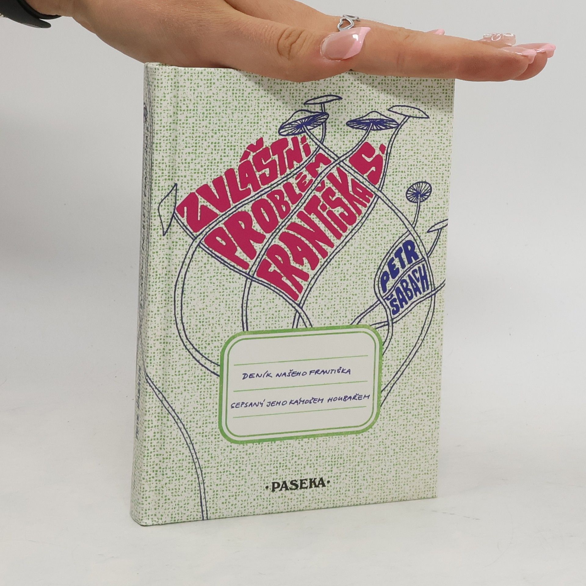 Petr Šabach Zvláštní problém Františka S