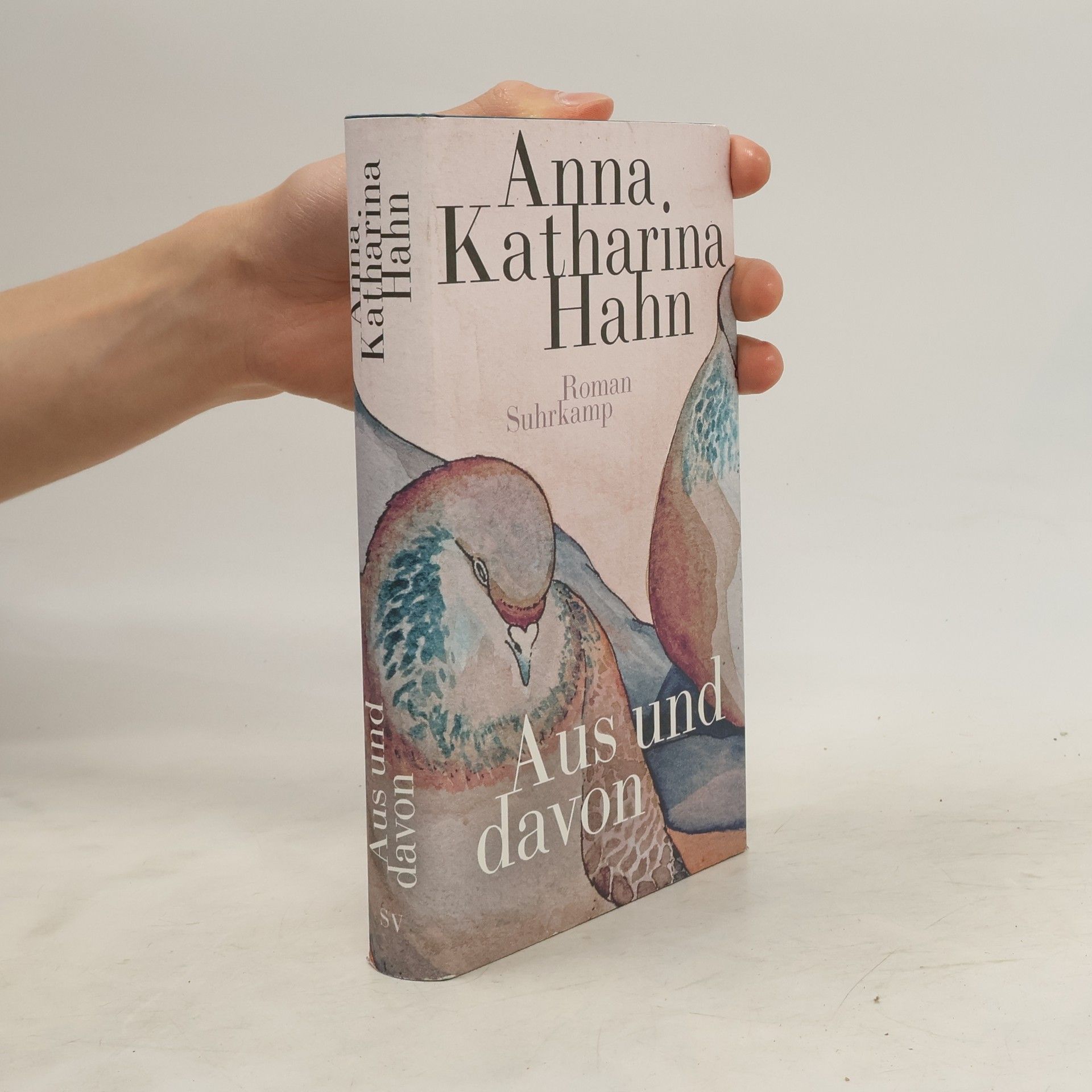 Anna Katharina Hahn Aus und davon