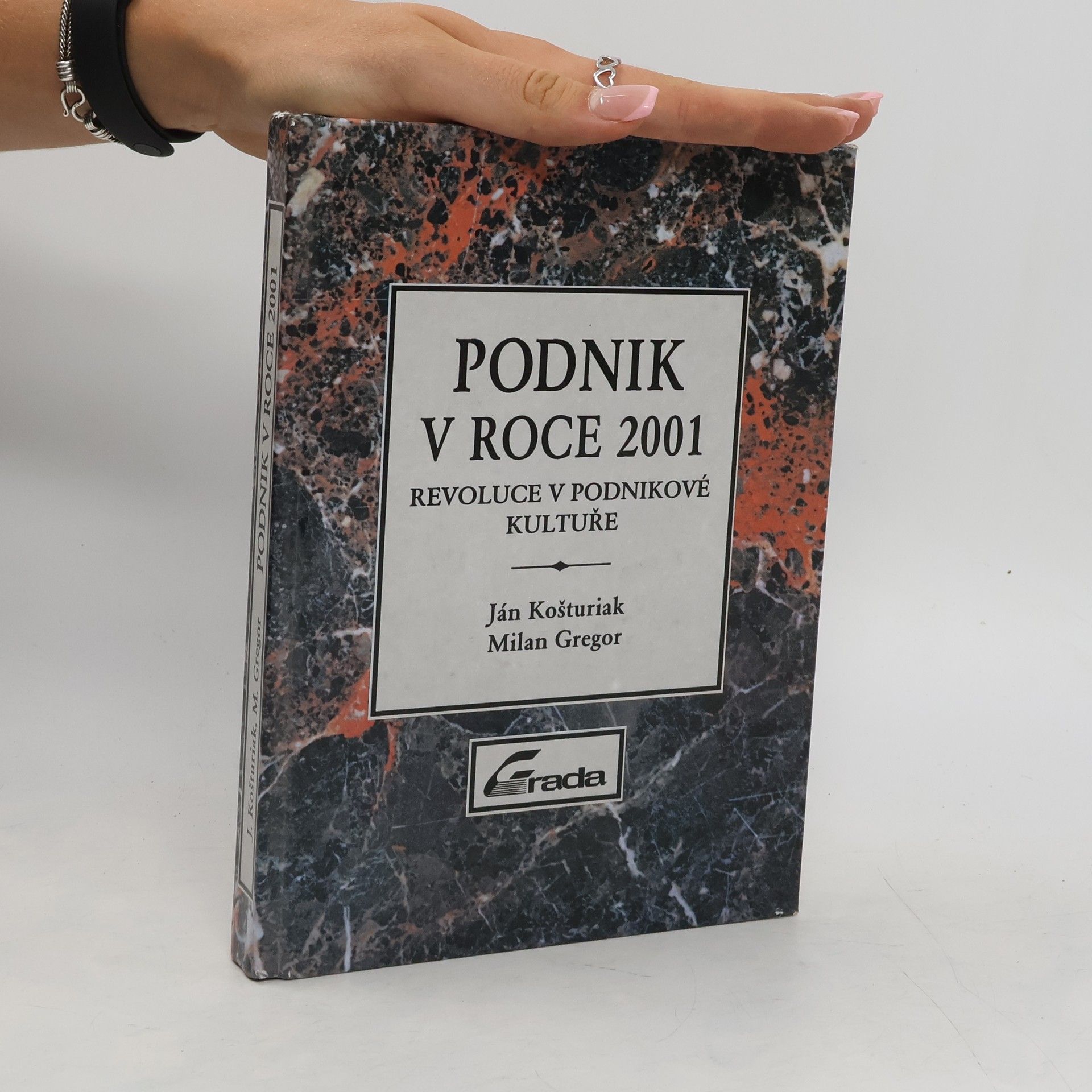 Ján Košturiak Podnik v roce 2001