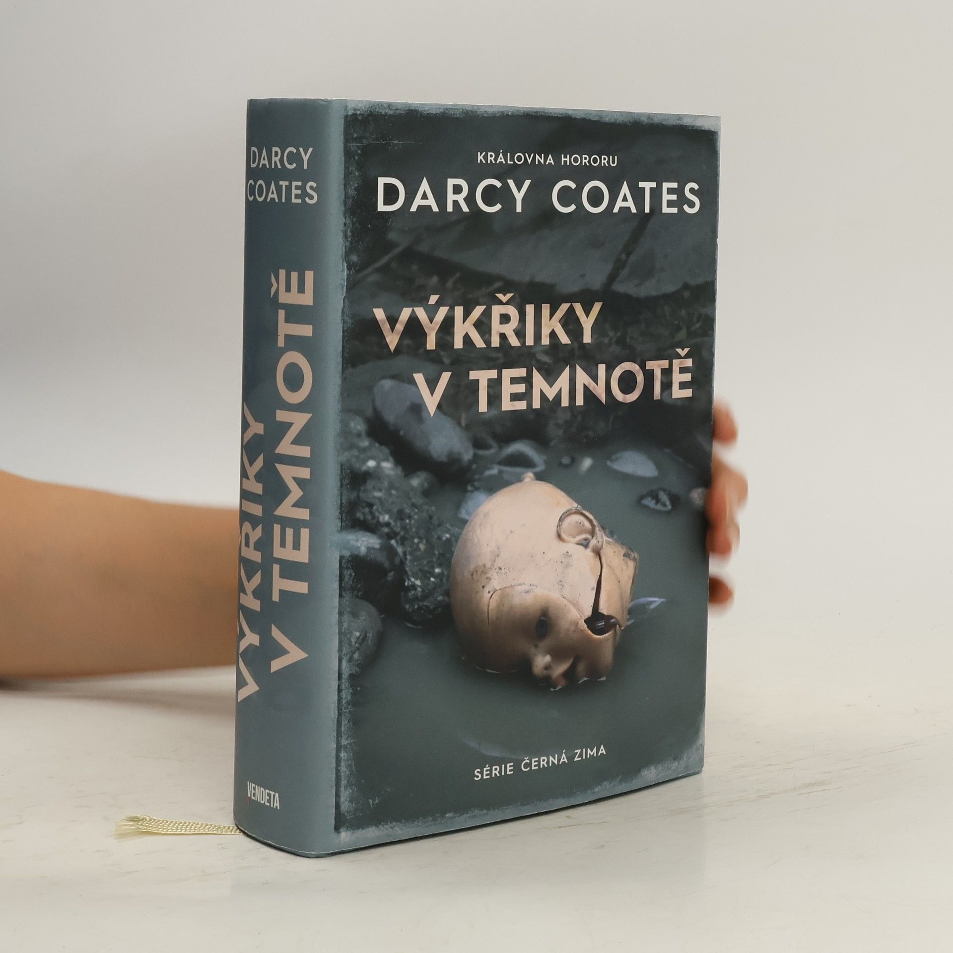 Darcy Coates Výkřiky v temnotě