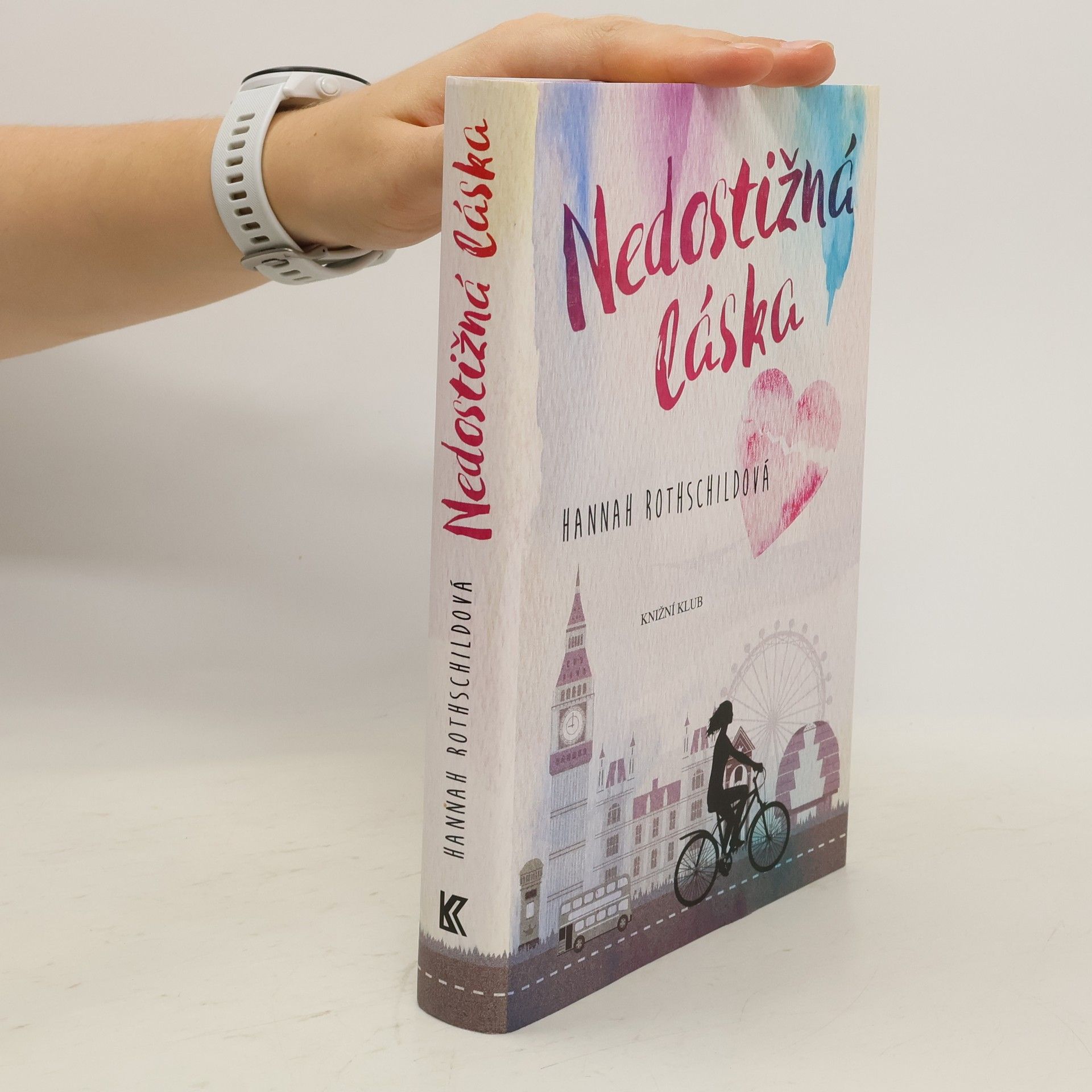 Hannah Rothschild Nedostižná láska
