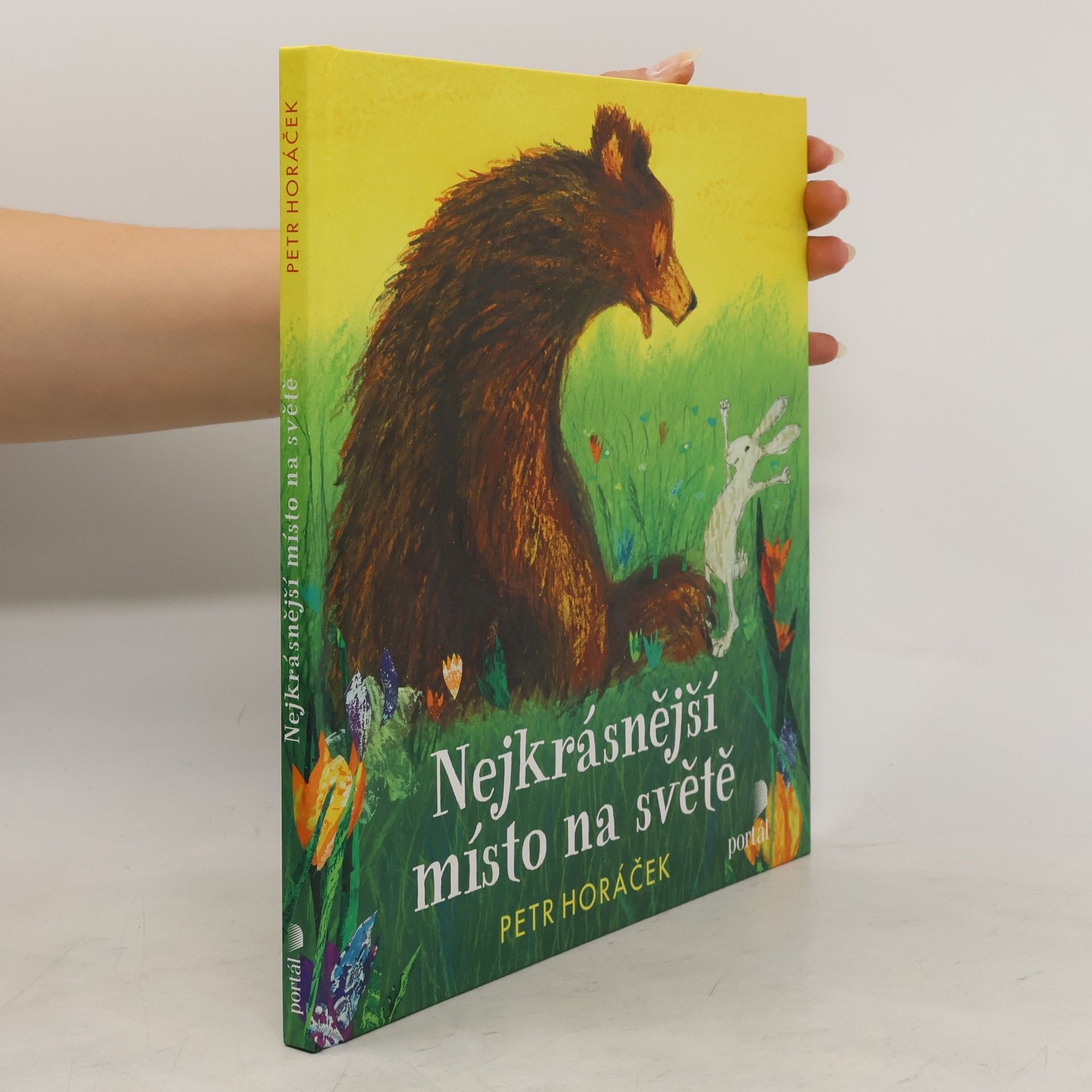 Horacek Petr Nejkrásnější místo na světě