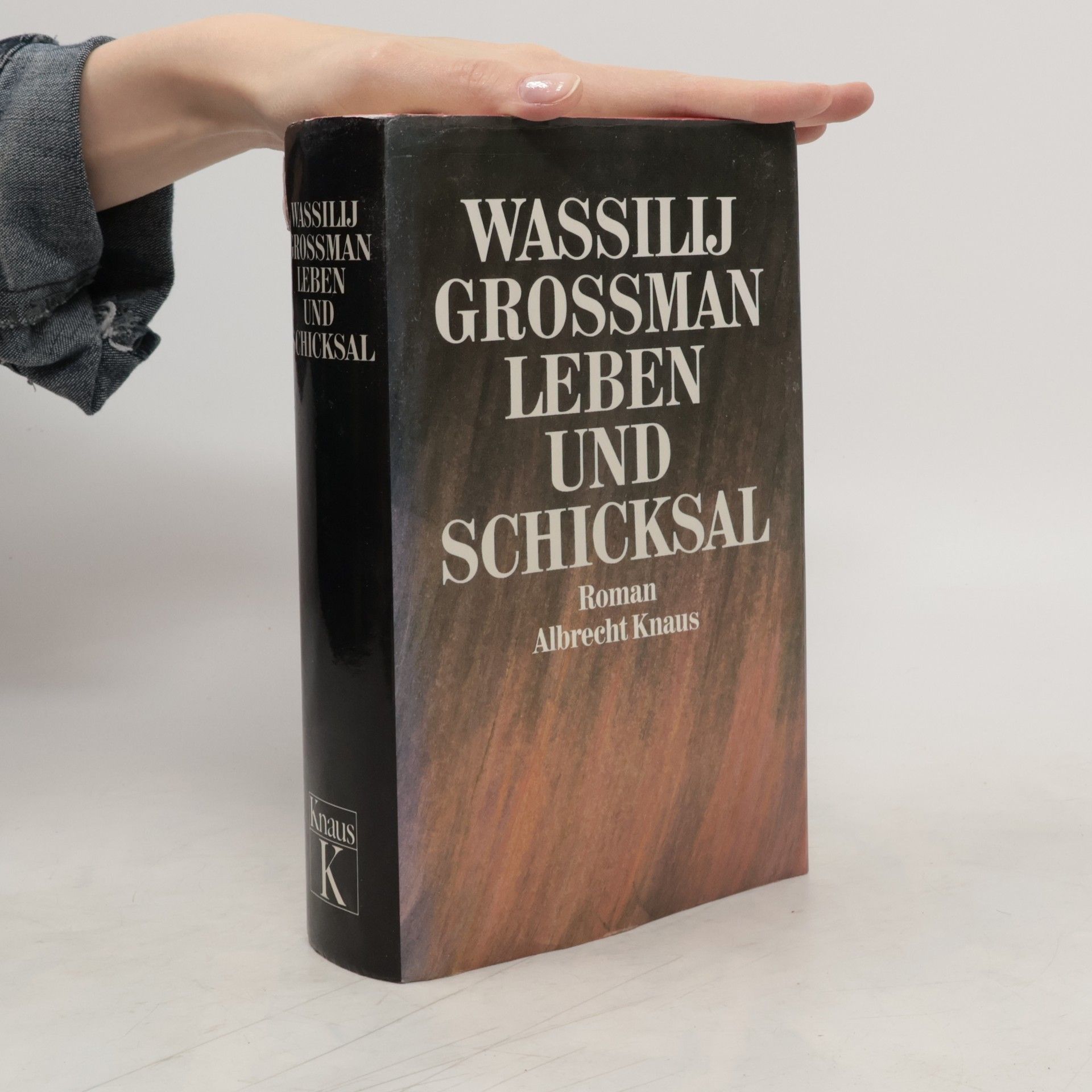 Vasilij Grossman Leben und Schicksal