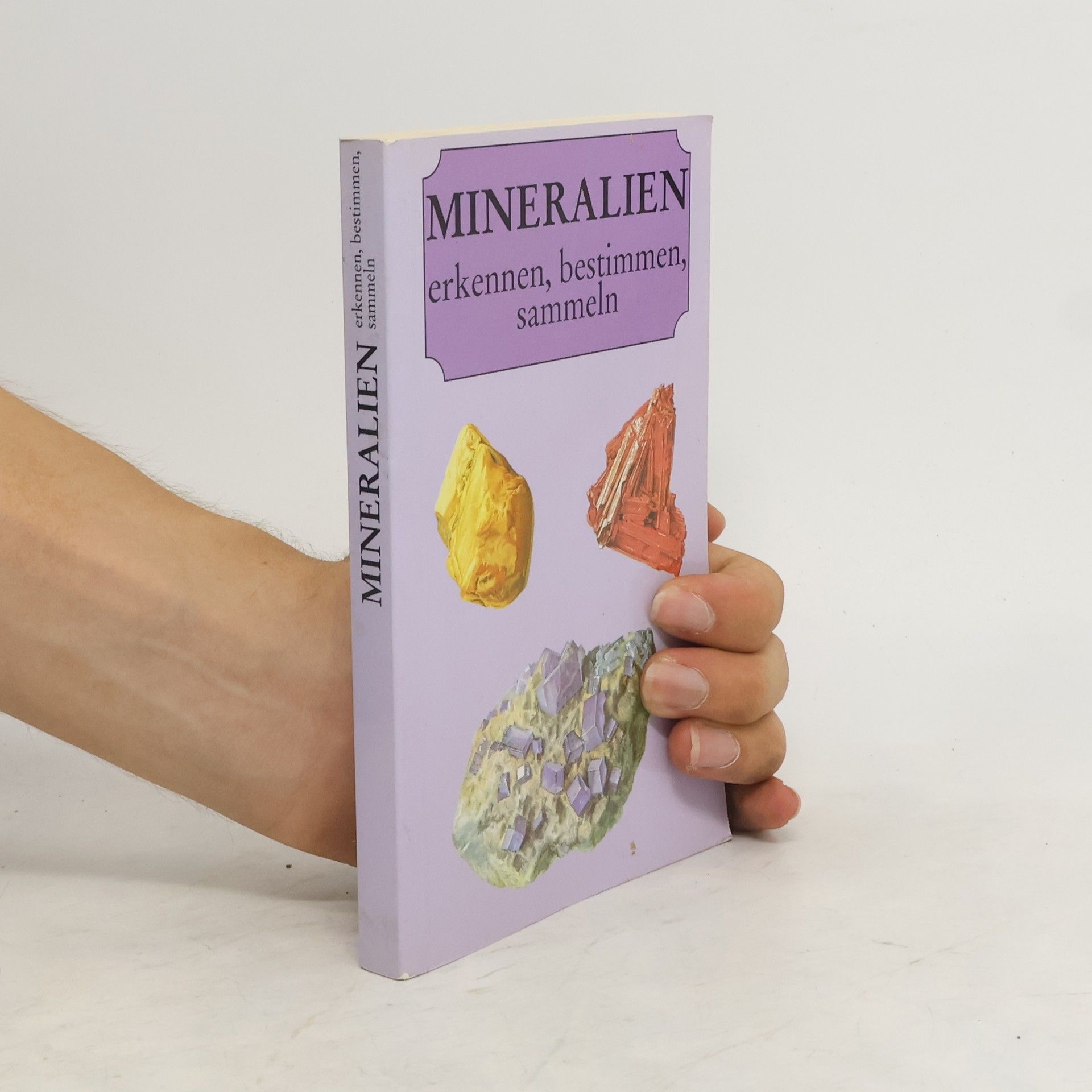 Autorenkollektiv Mineralien erkennen, bestimmen, sammeln