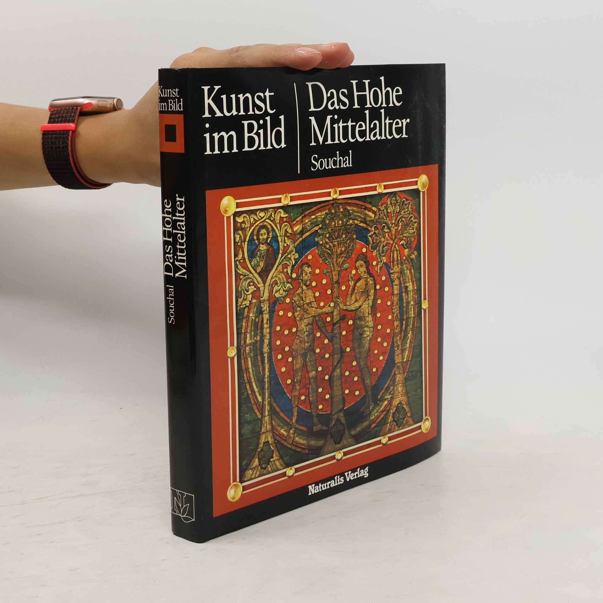 François Souchal Kunst im Bild. Das Hohe Mittelalter
