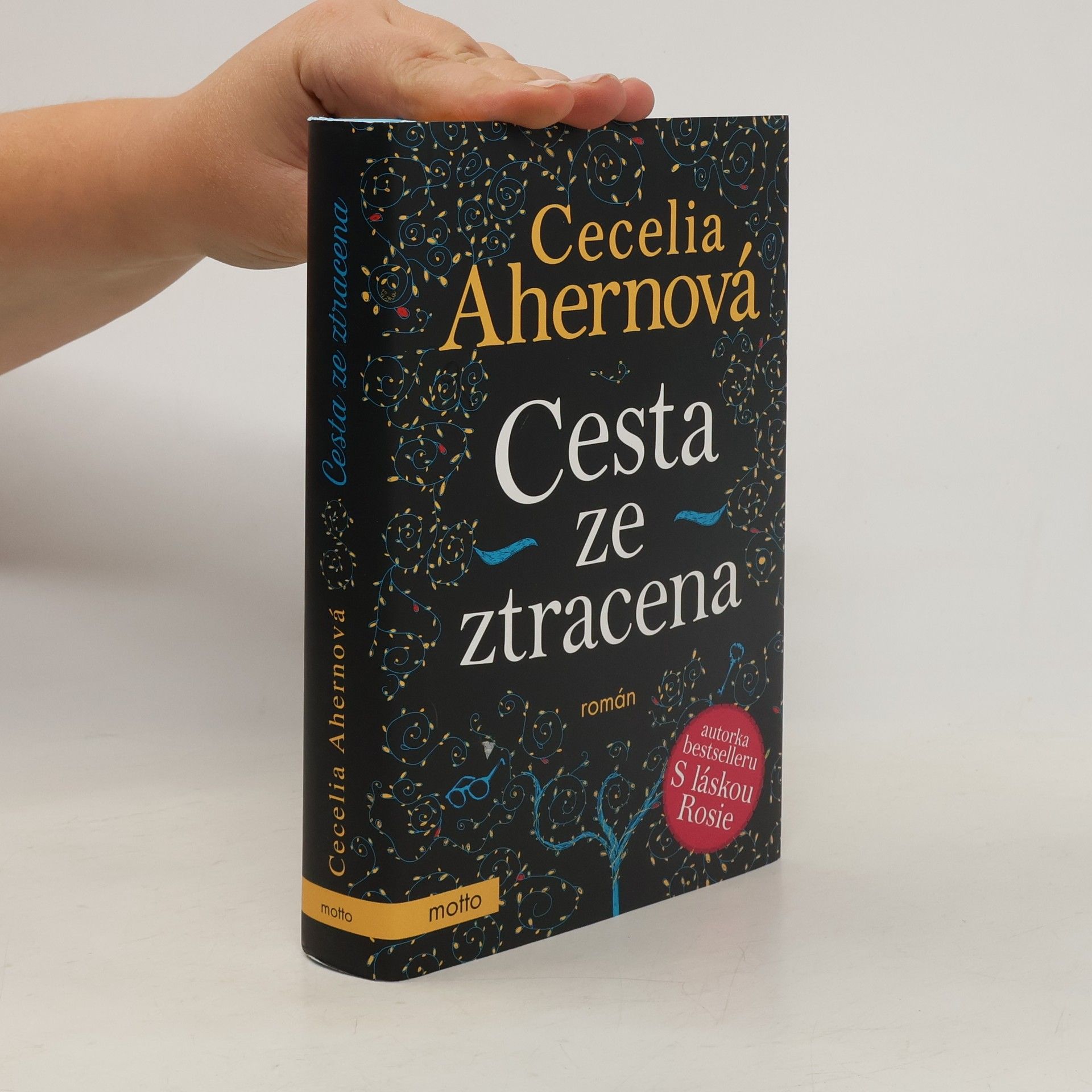 Cecelia Ahern Cesta ze ztracena