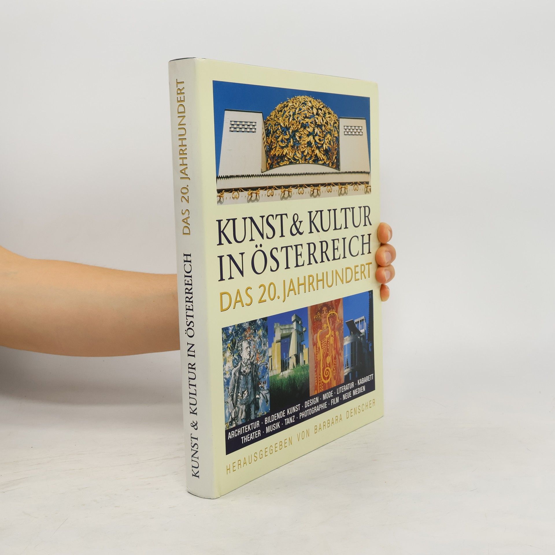 Barbara Denscher Kunst & Kultur in Österreich das 20. Jahrhundert