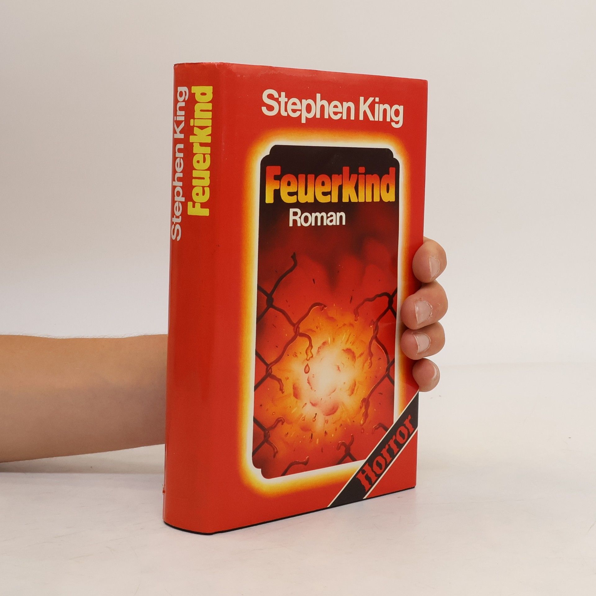 Stephen King Feuerkind