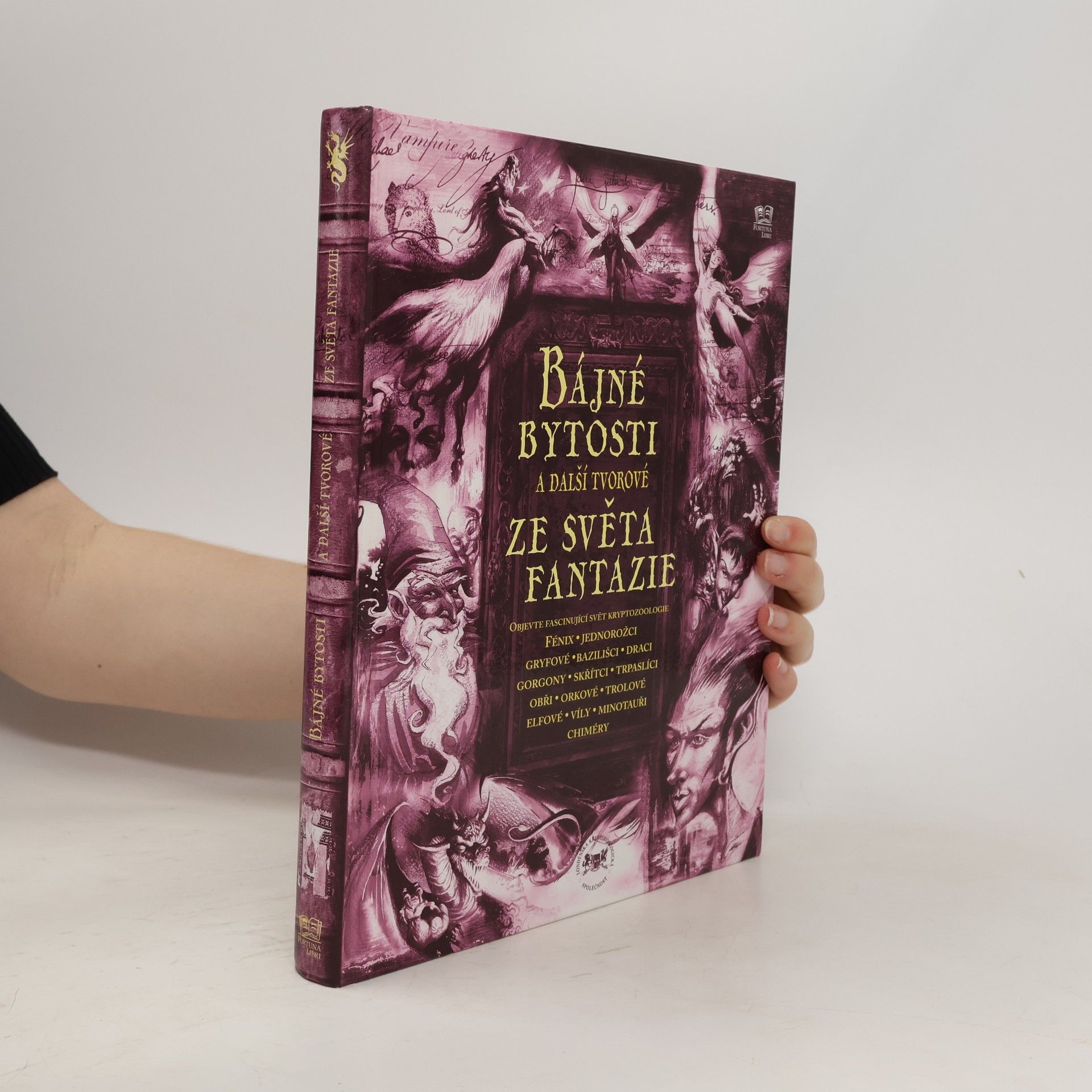 Joel Levy Bájné bytosti a další tvorové ze světa fantazie