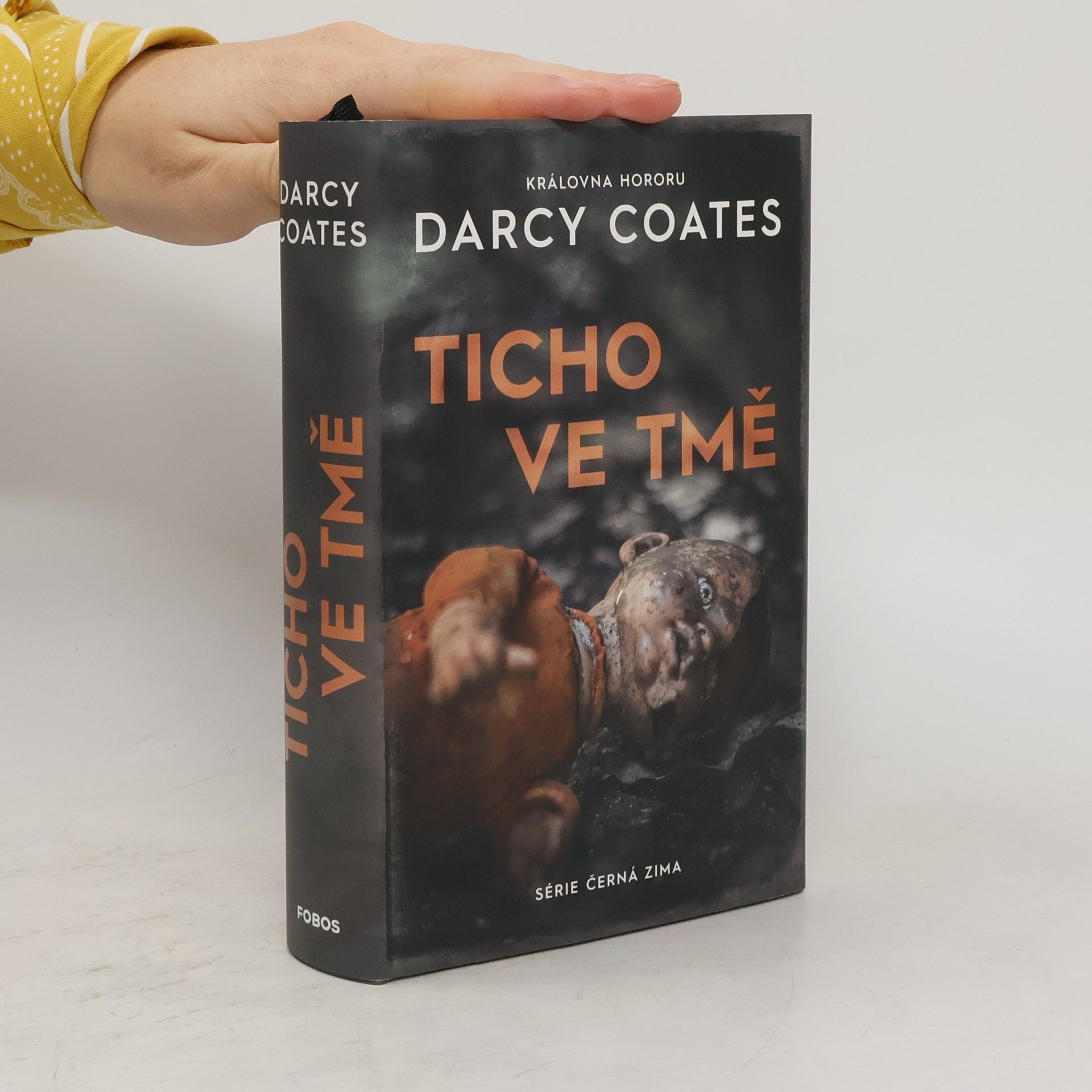Darcy Coates Ticho ve tmě