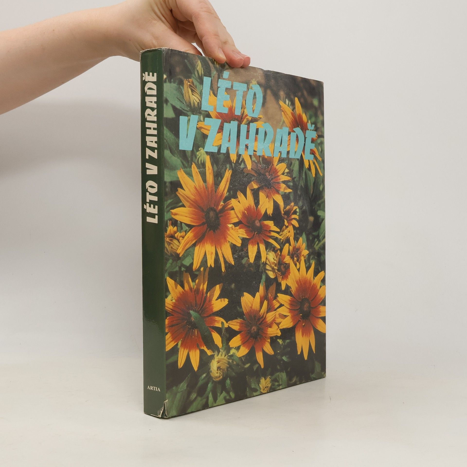 Kolektiv autorů Léto v zahradě