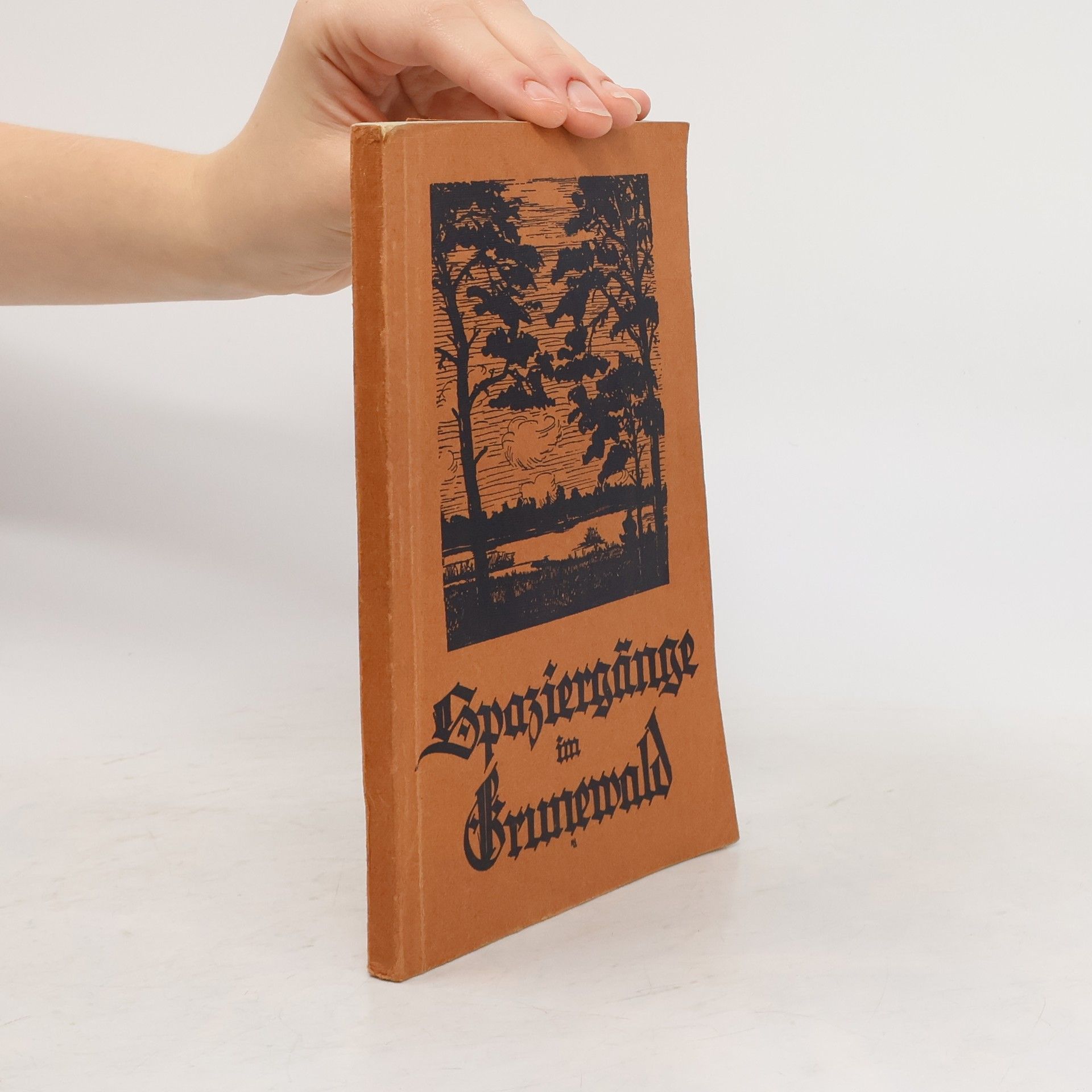 W. Sommer Spaziergange im Grunewald