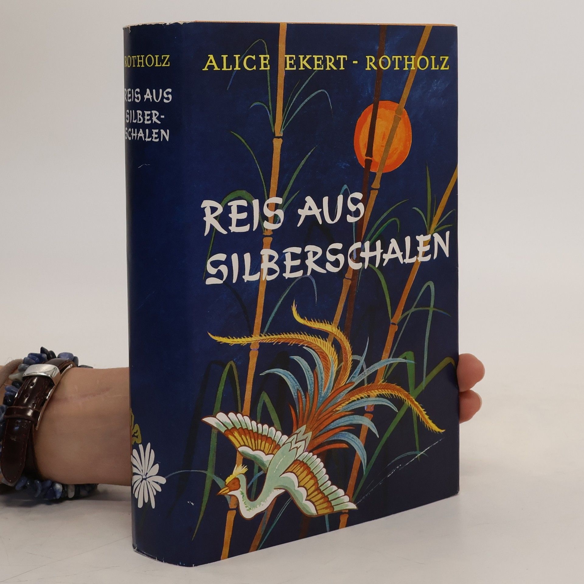 Alice Ekert-Rotholz Reis aus Silberschalen