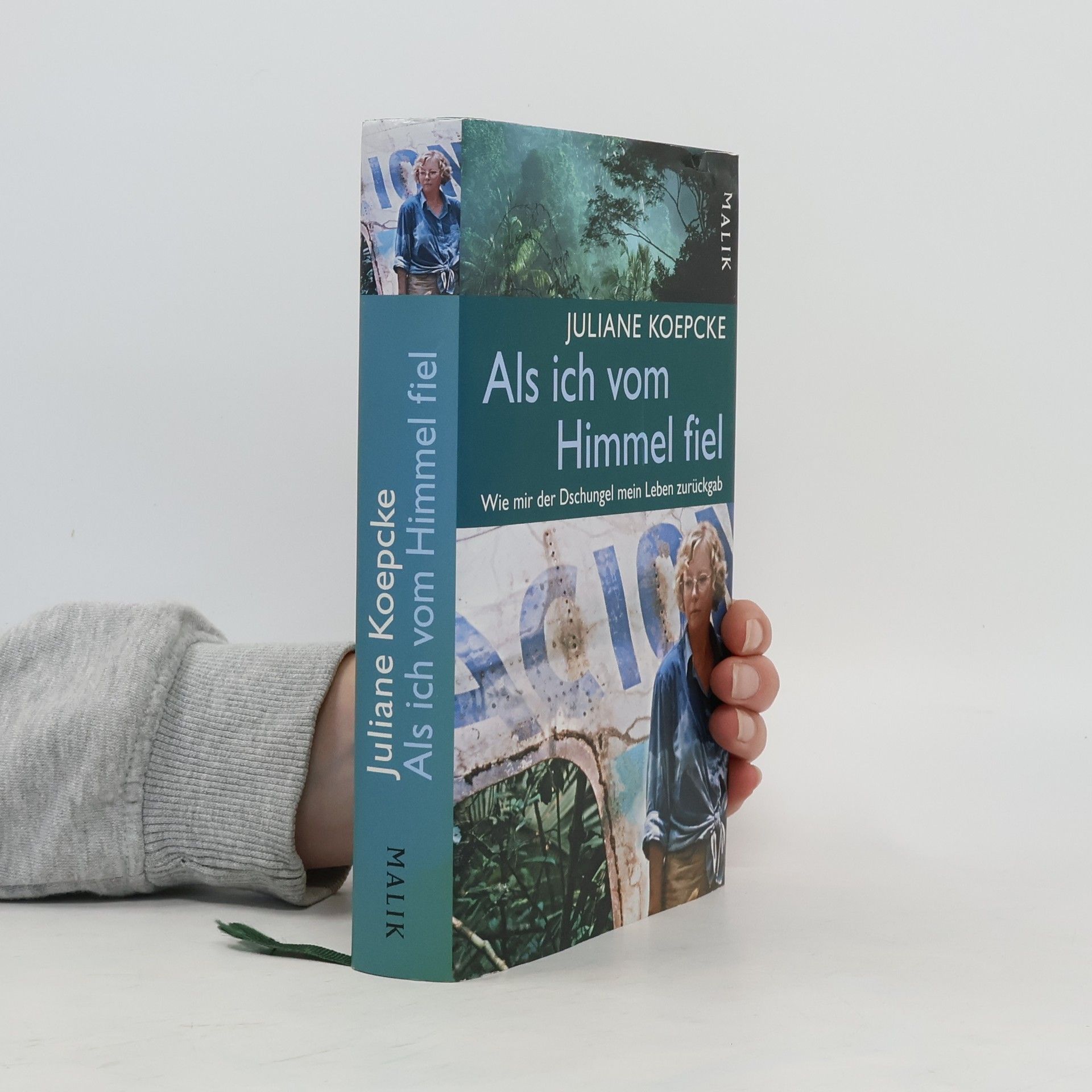 Juliane Diller Als ich vom Himmel fiel