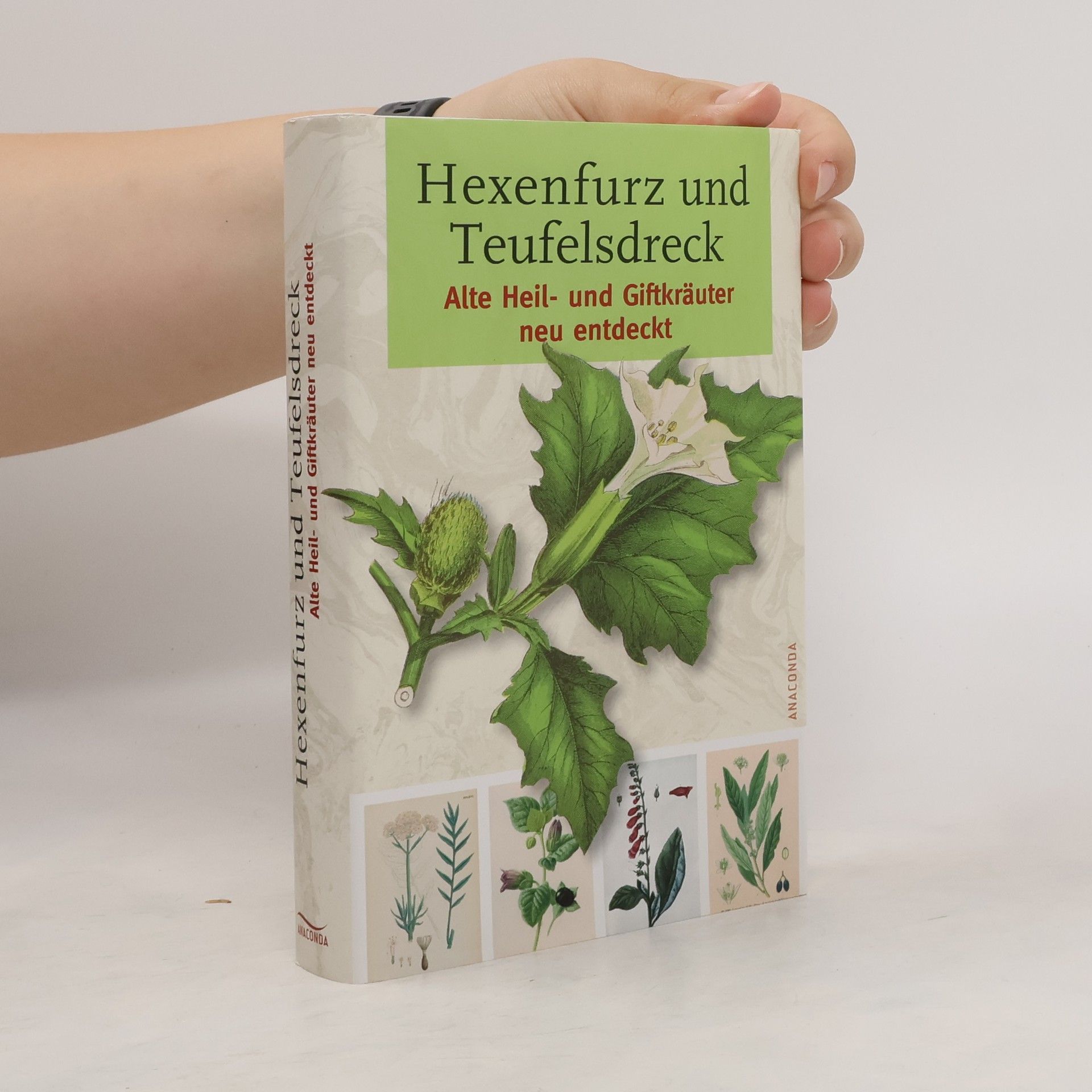 Gerd Haerkötter Hexenfurz und Teufelsdreck