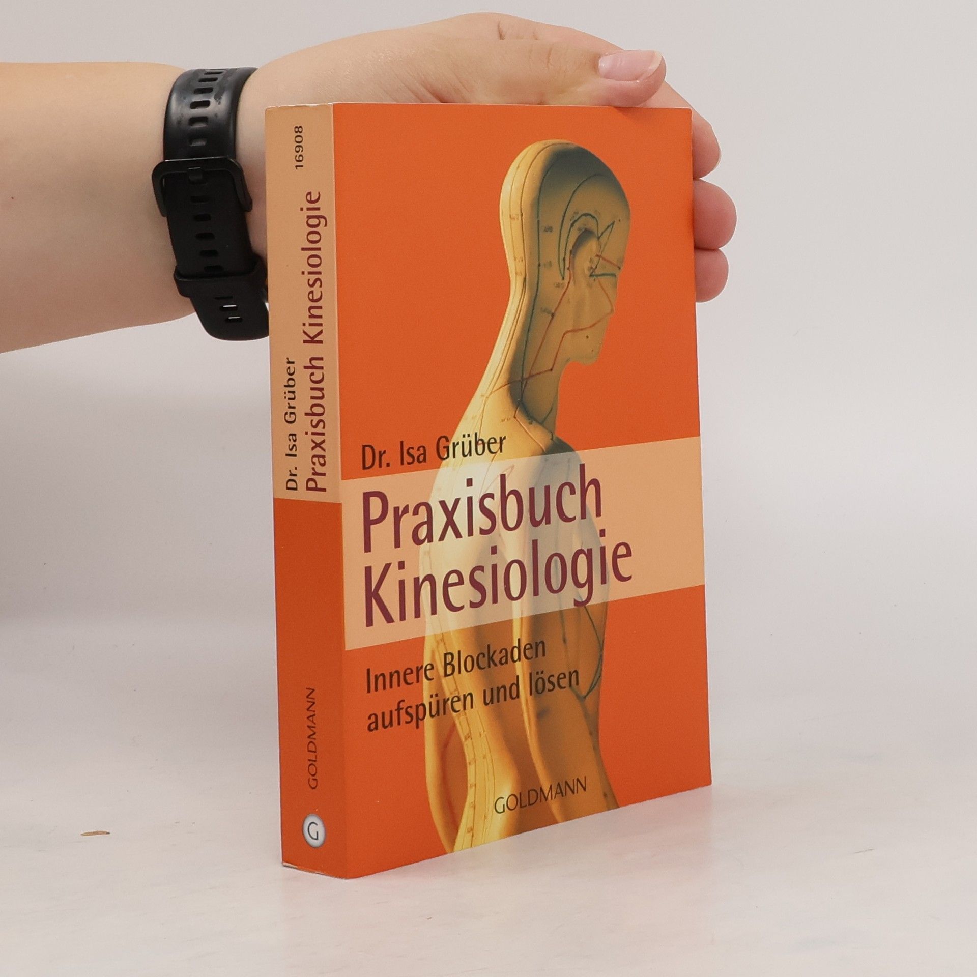 Isa Grüber Praxisbuch Kinesiologie