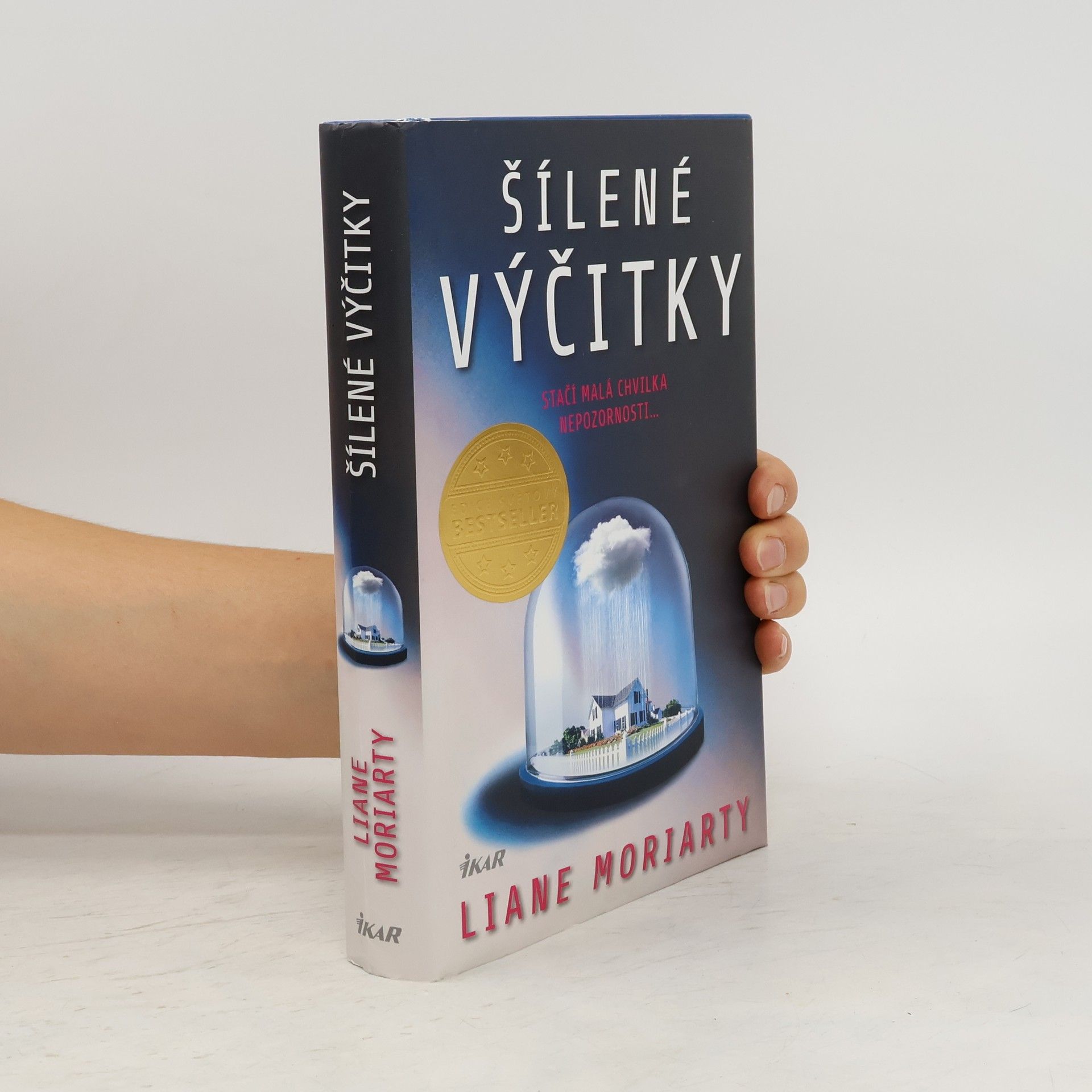 Liane Moriarty Šílené výčitky