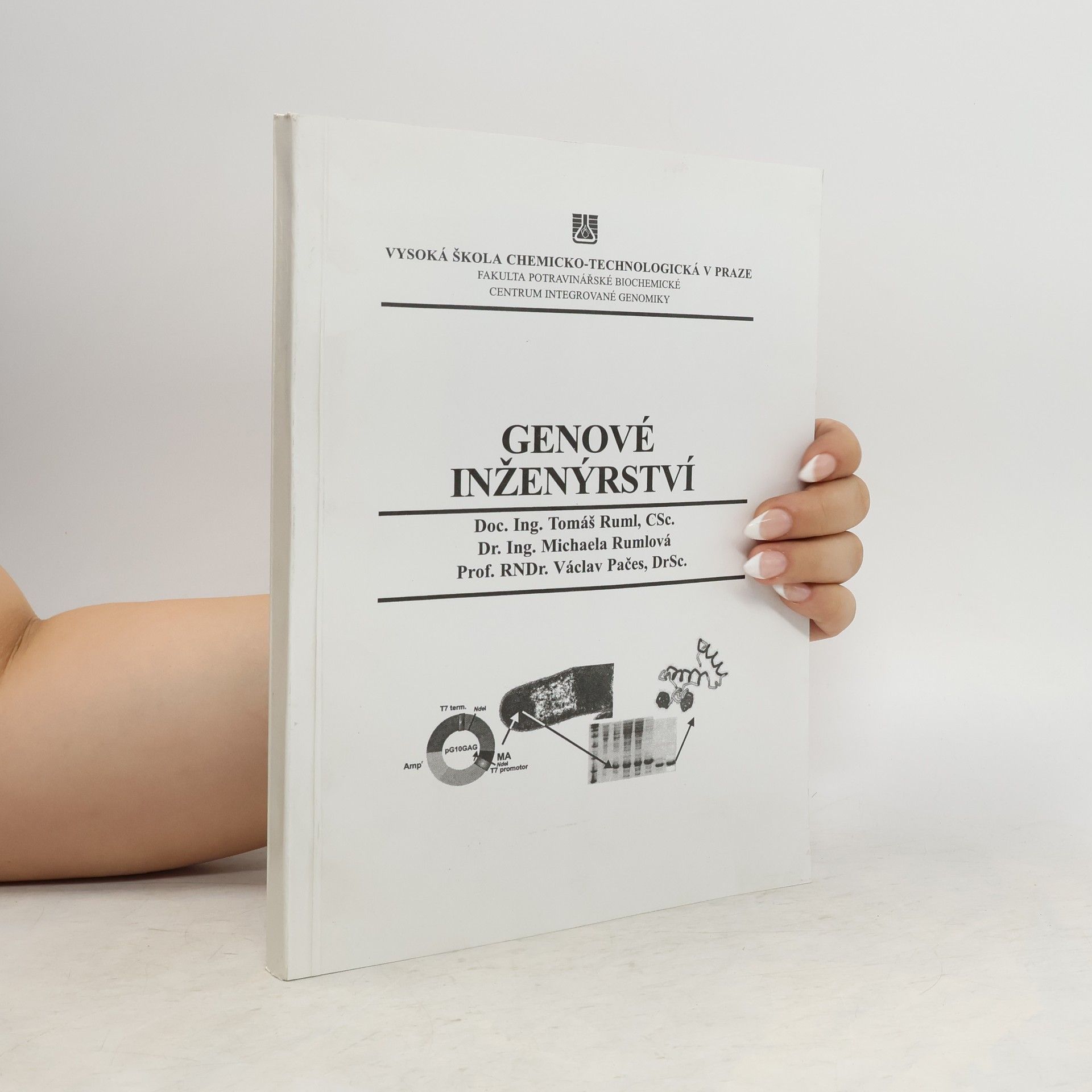 Genové inženýrství