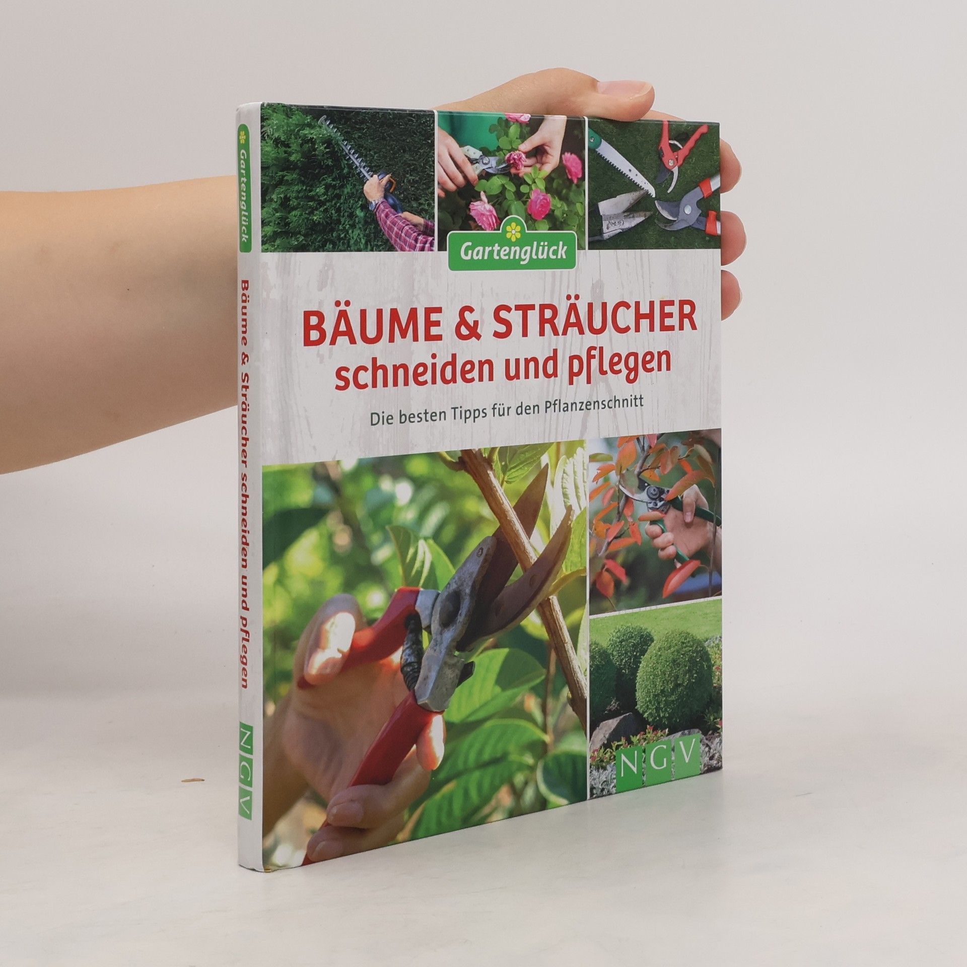 Collectif d'auteurs Bäume und Sträucher schneiden und pflegen