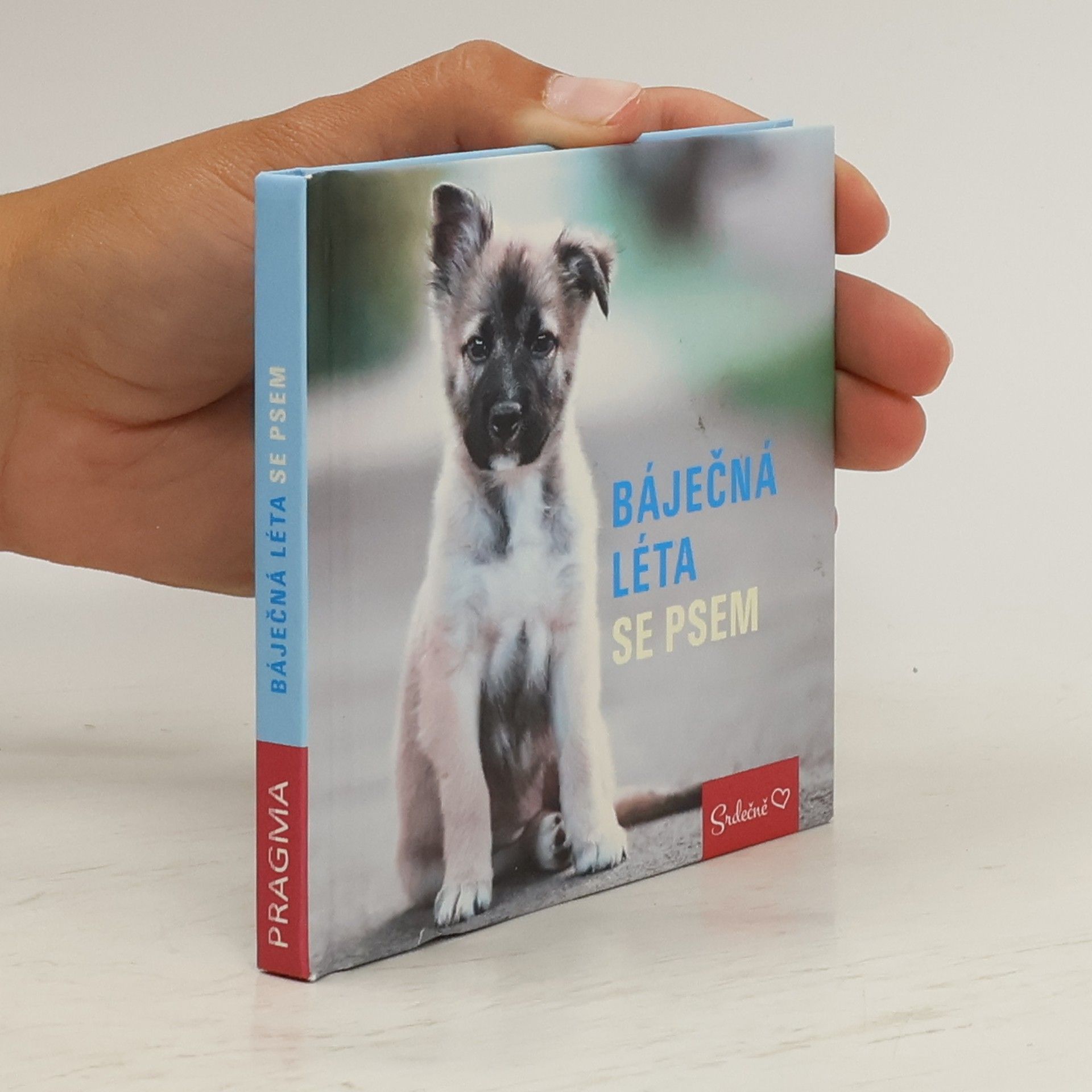 Markéta Kliková Báječná léta se psem