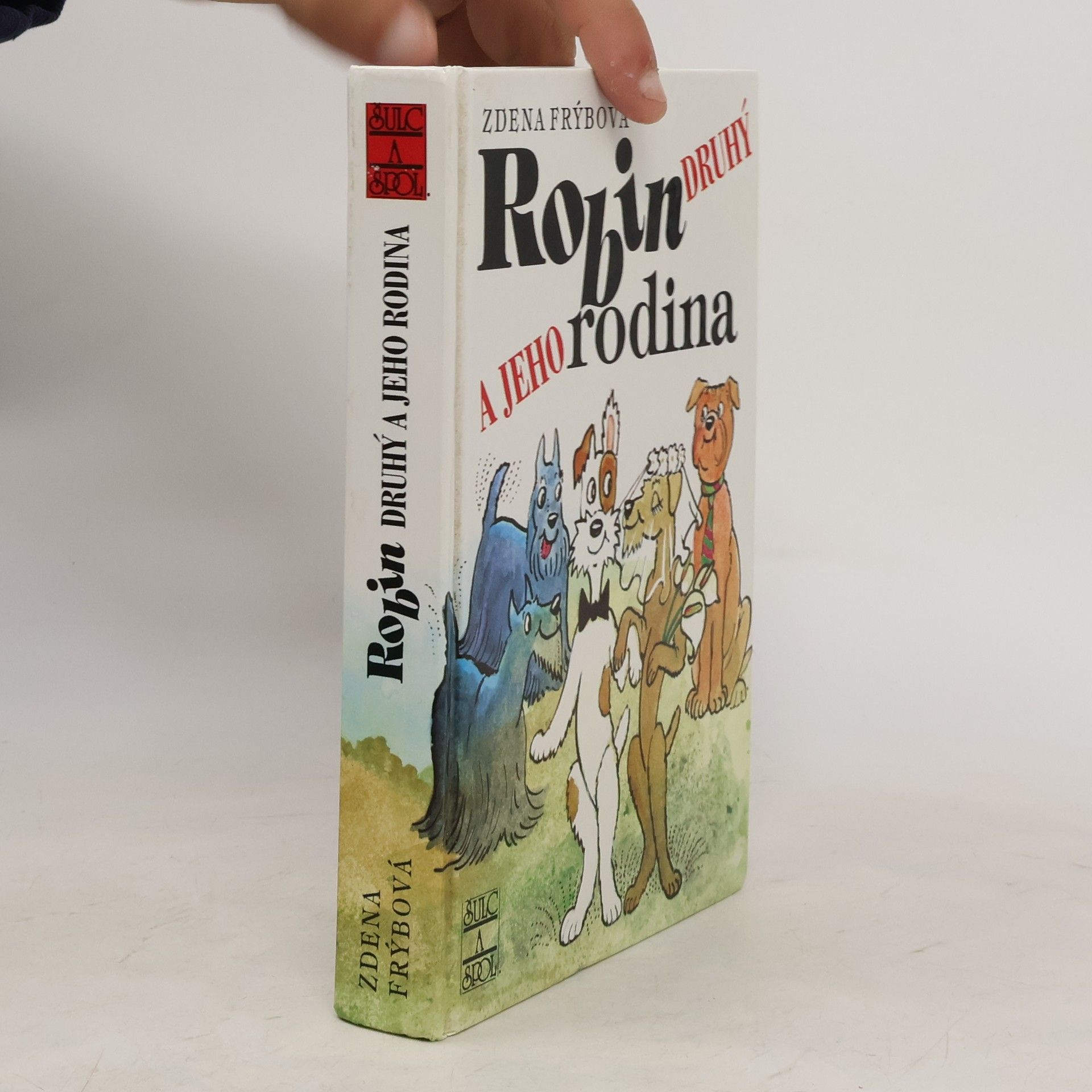 Zdena Frýbová Robin Druhý a jeho rodina