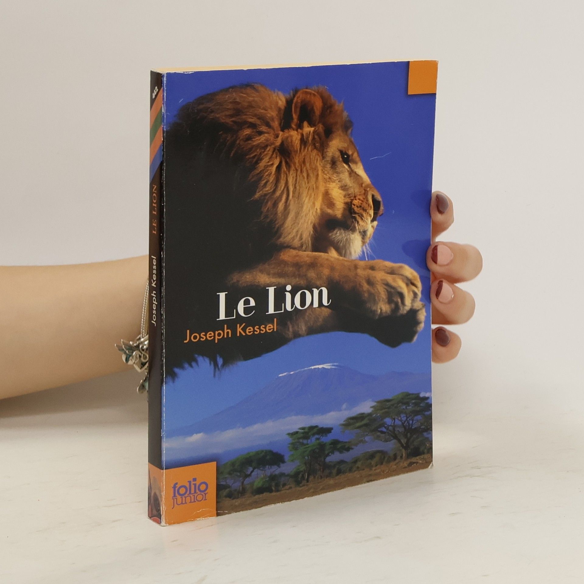 Joseph Kessel Le lion