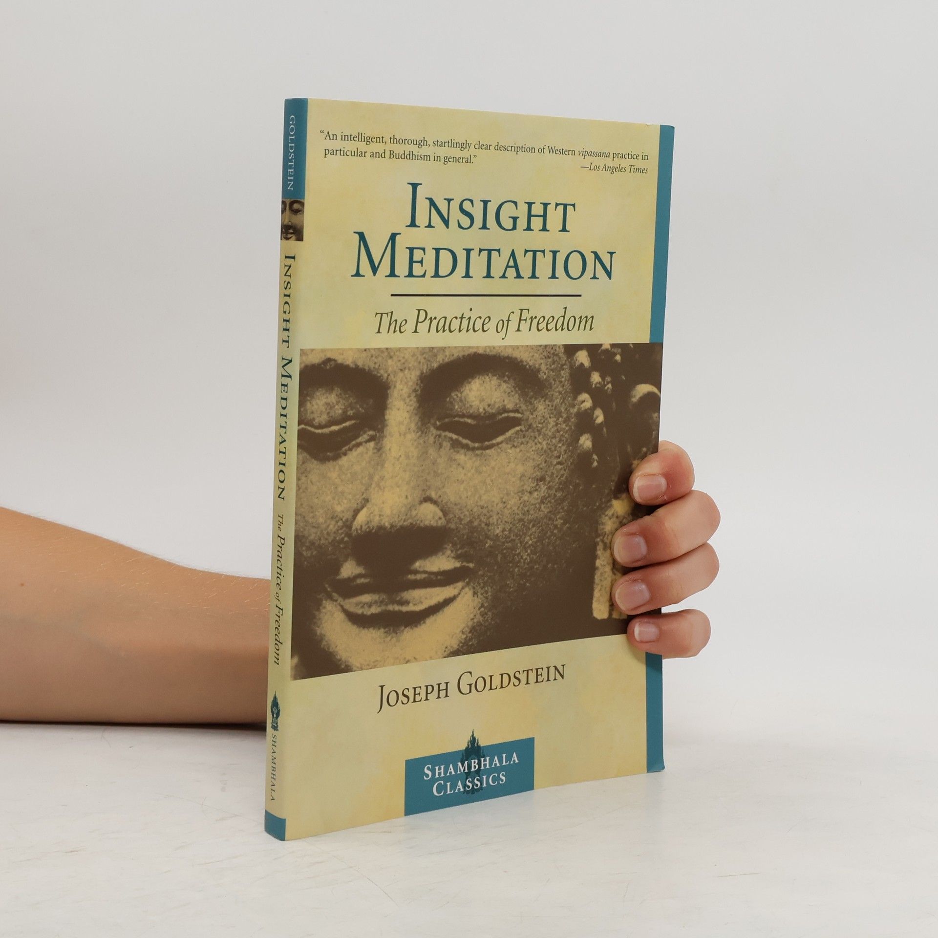 Joseph Goldstein Insight Meditation: A Psychology of Freedom