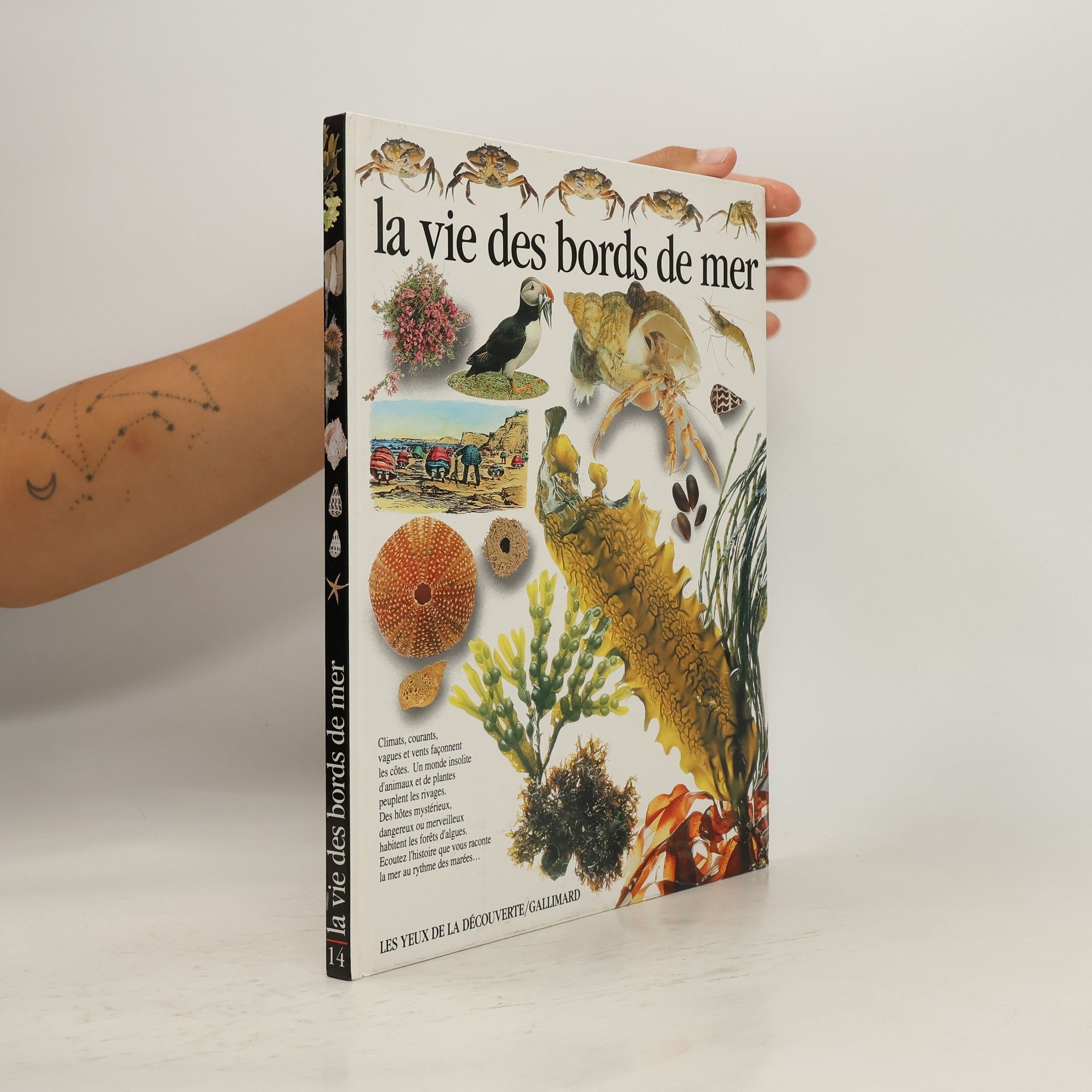 Steve Parker La vie des bords de mer