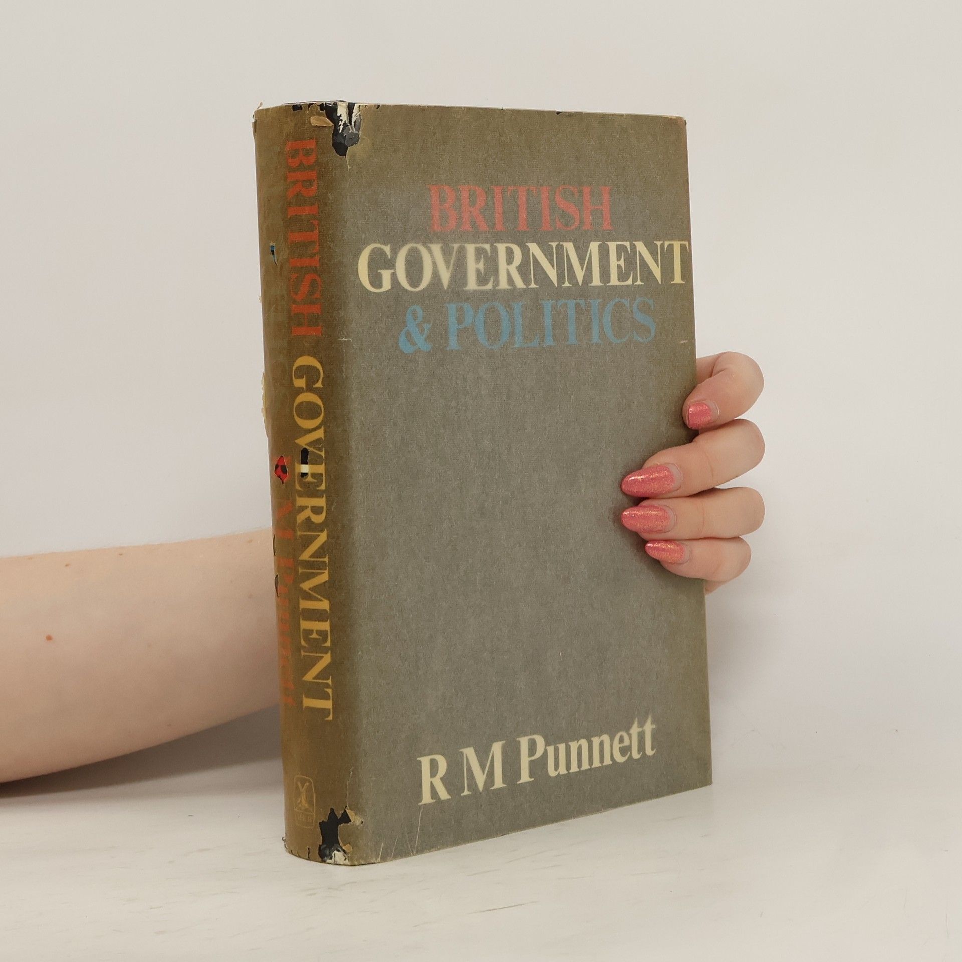 Robert Malcom Punnett British Government and Politics