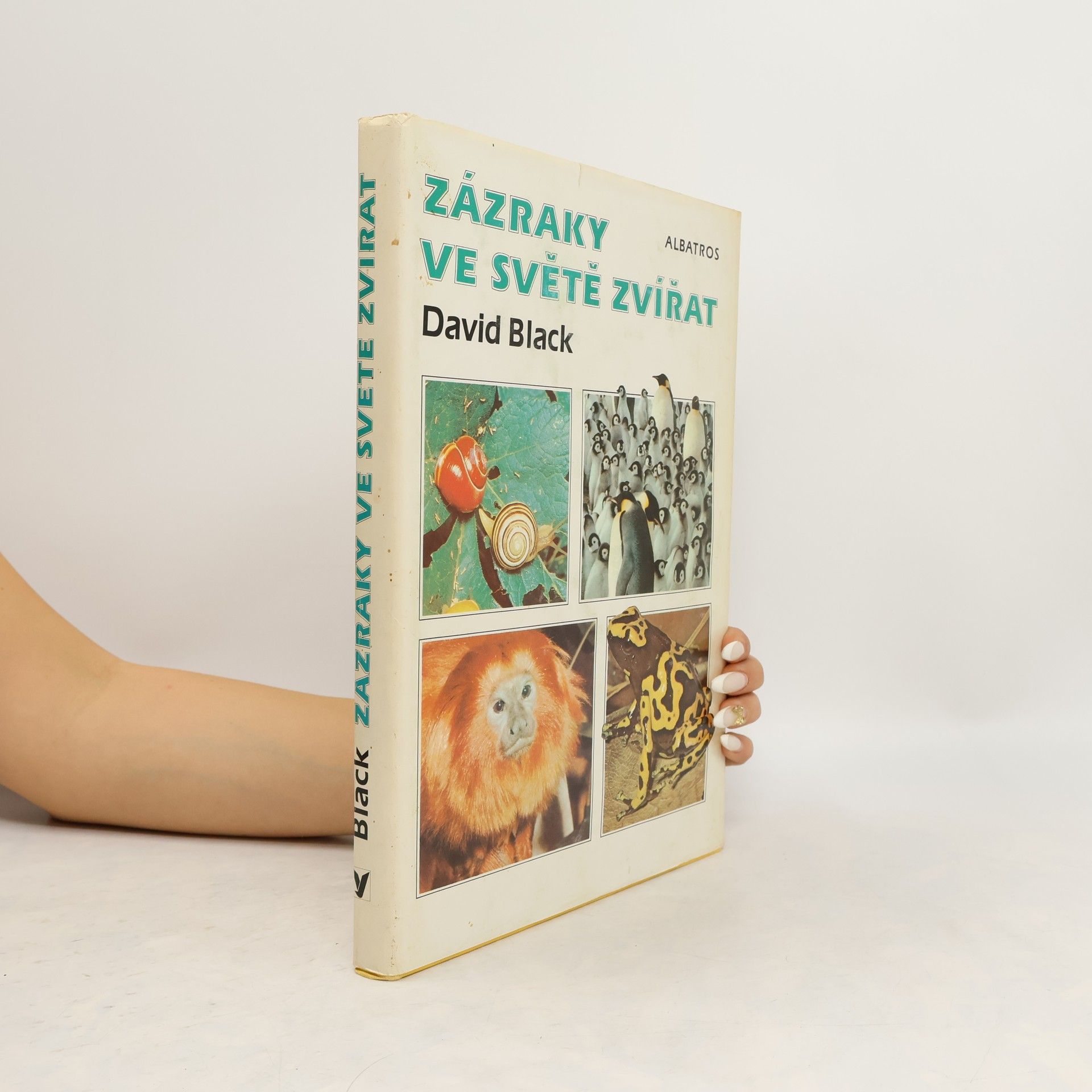 Zázraky ve světě zvířat